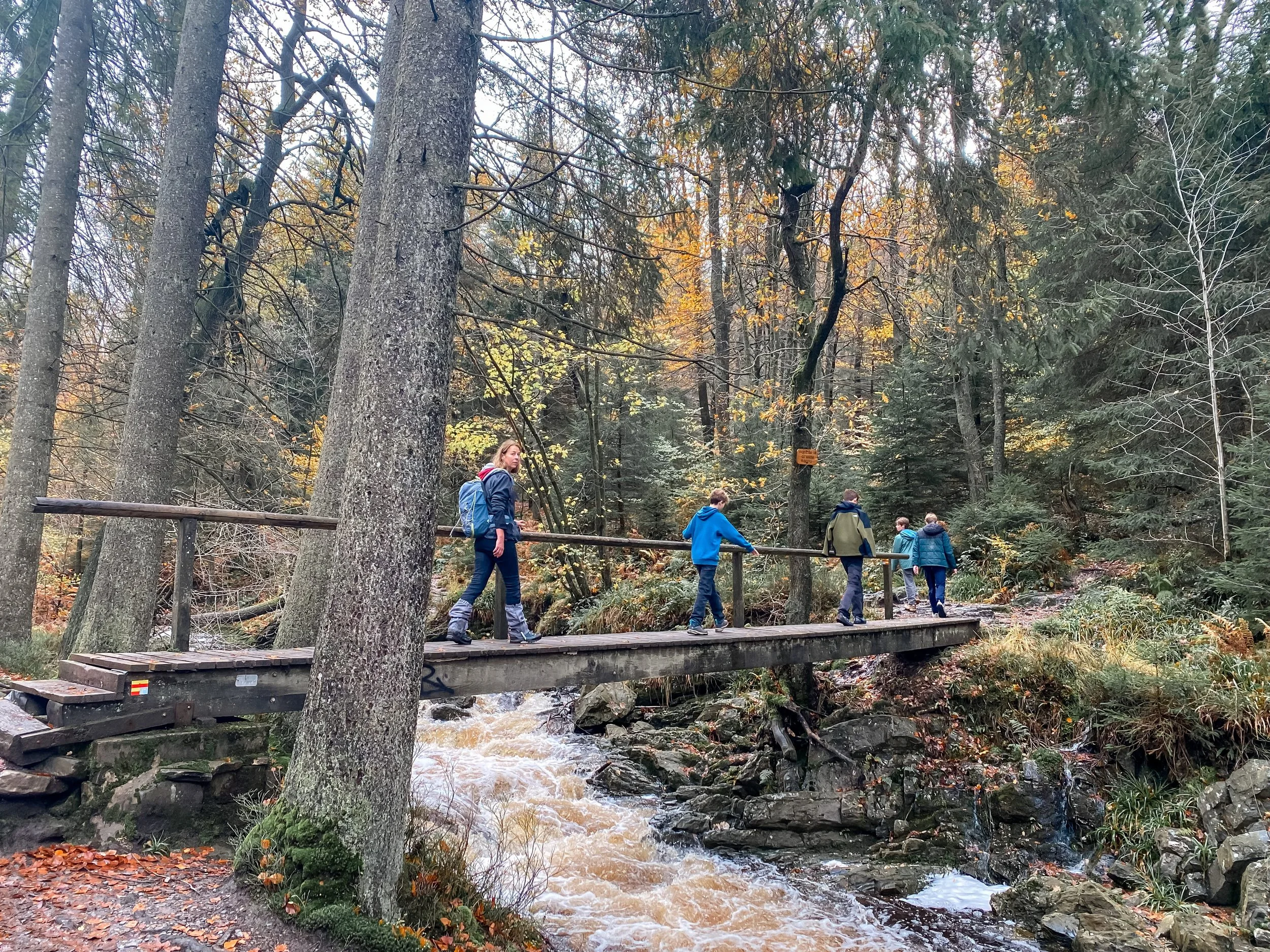 wandeling hoegne.jpg