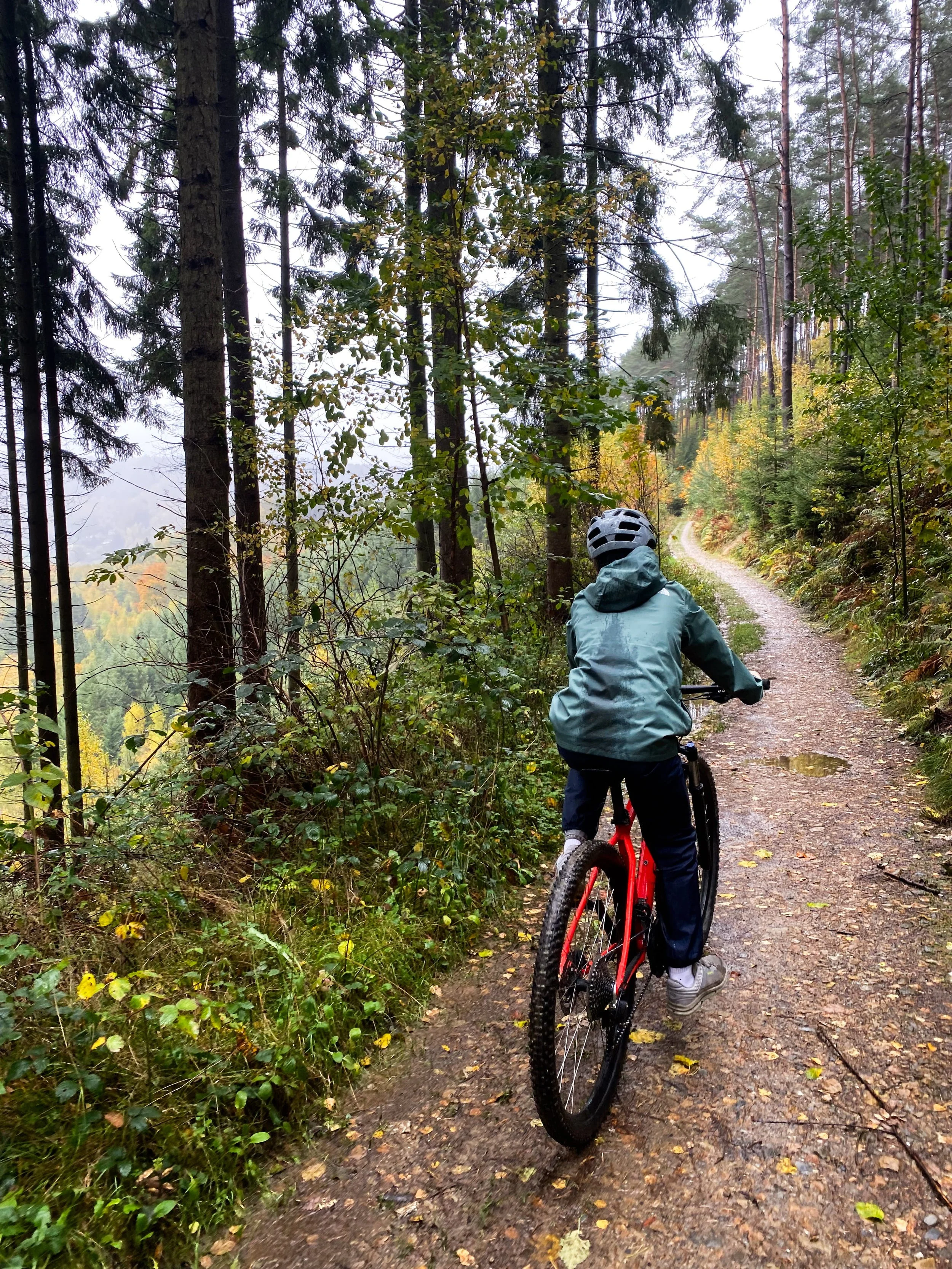 3x actie in de Ardennen