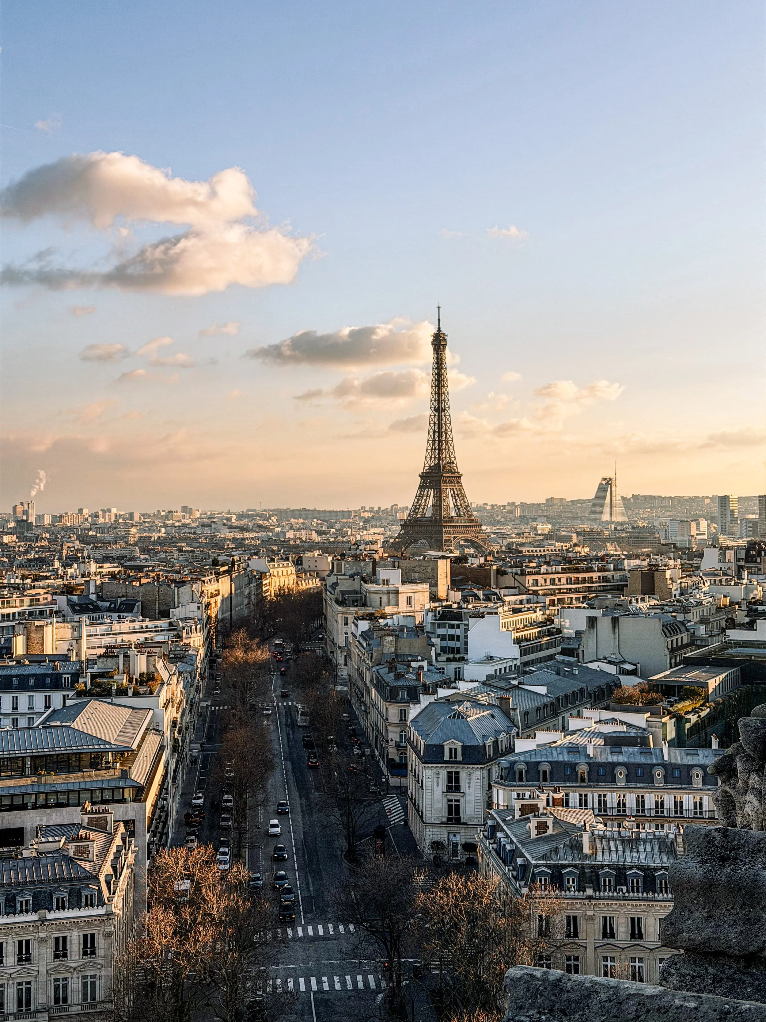 parijs uitzicht eiffeltoren.jpg