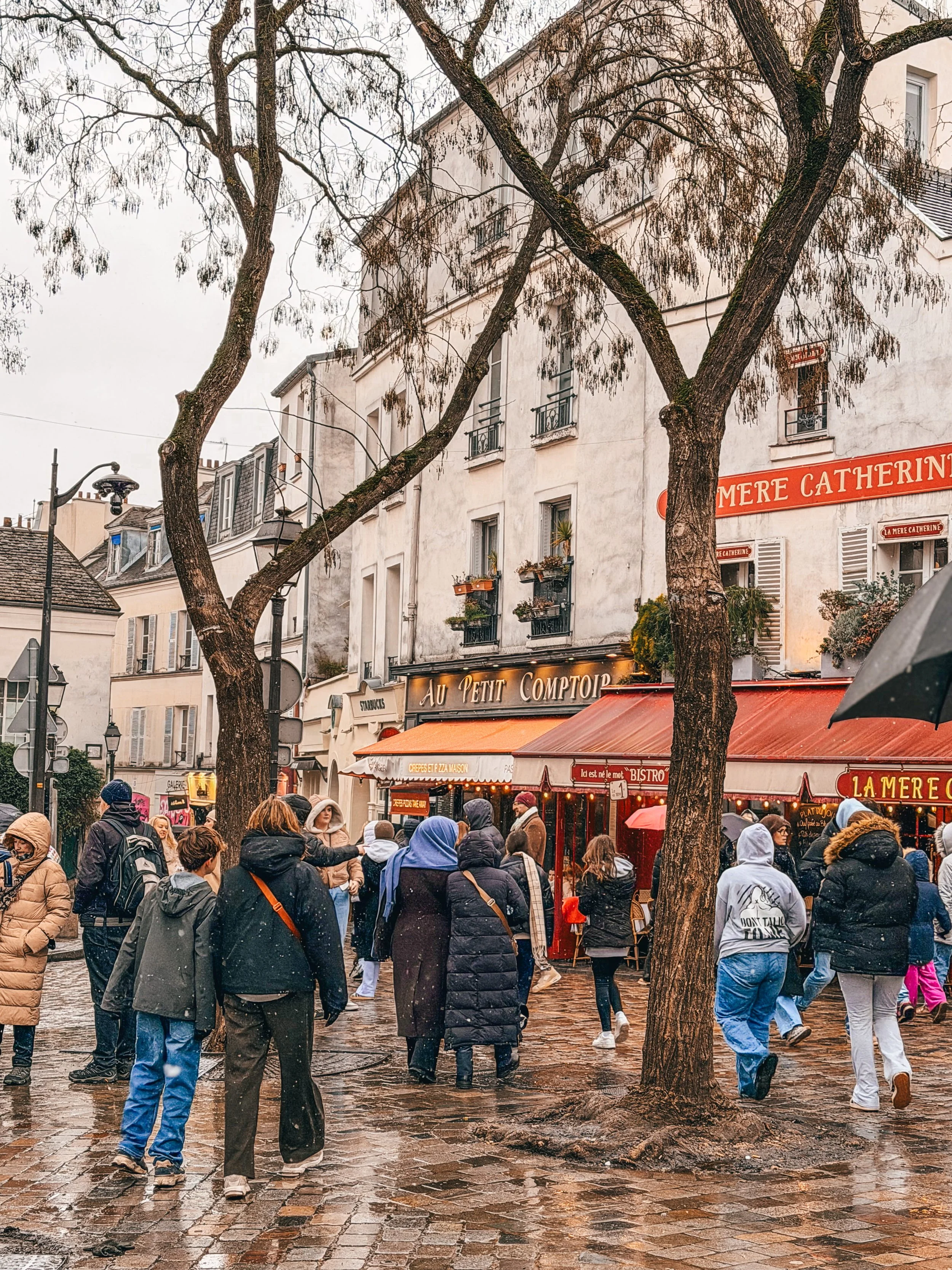 parijs montmartre place de tertre.jpg