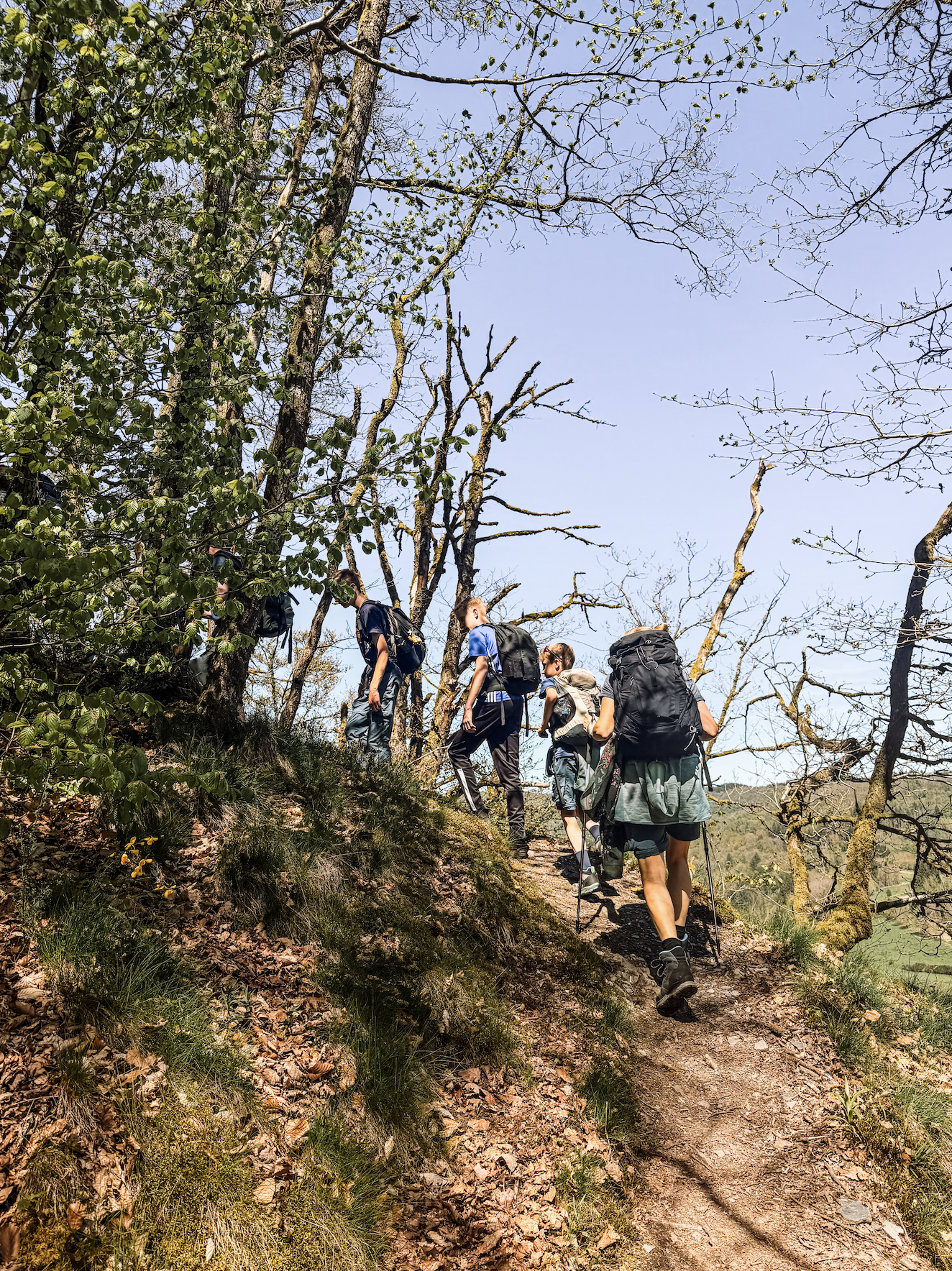 stevige wandeling ardennen.png
