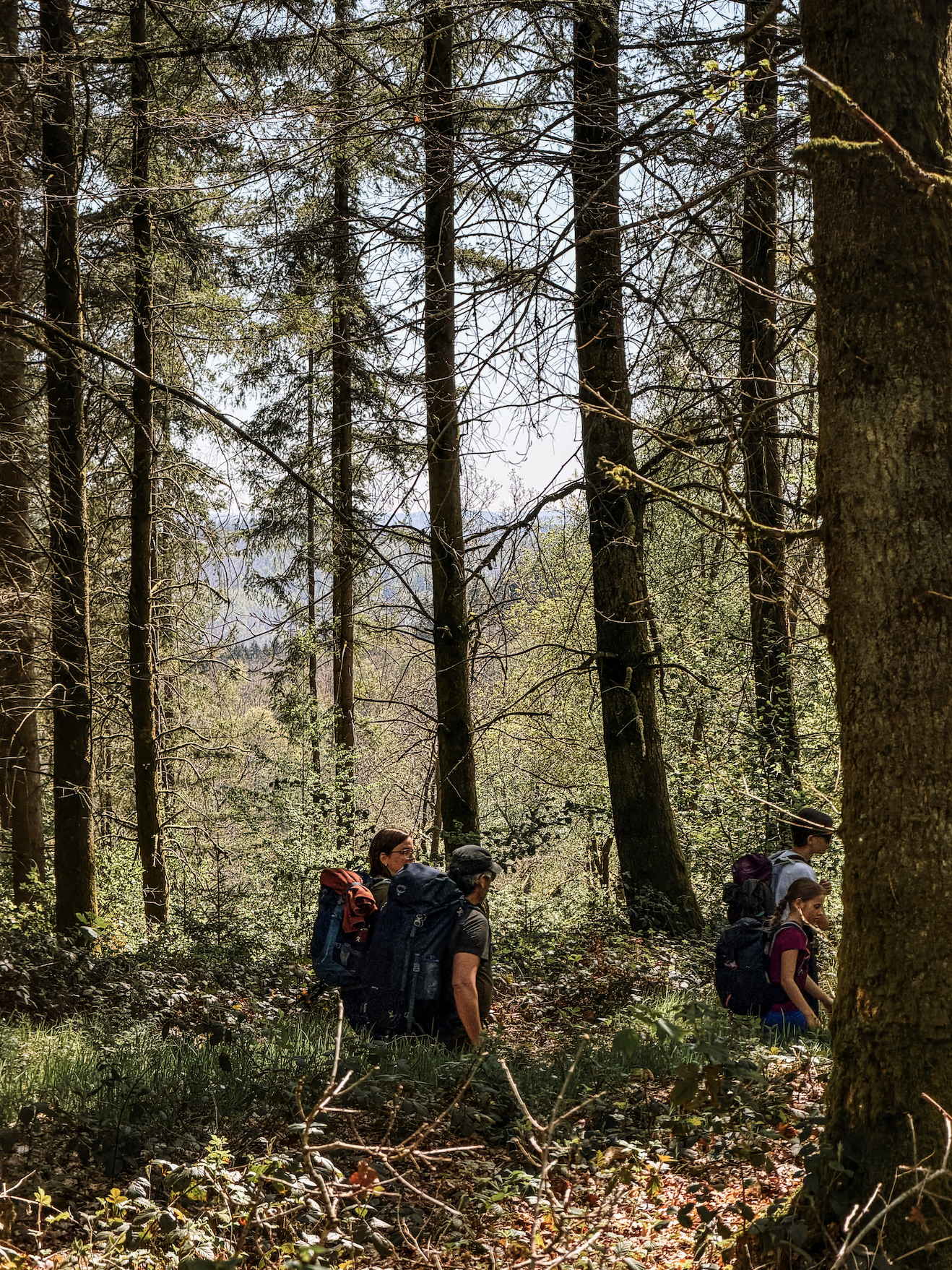 wandeling vresse sur semois.png