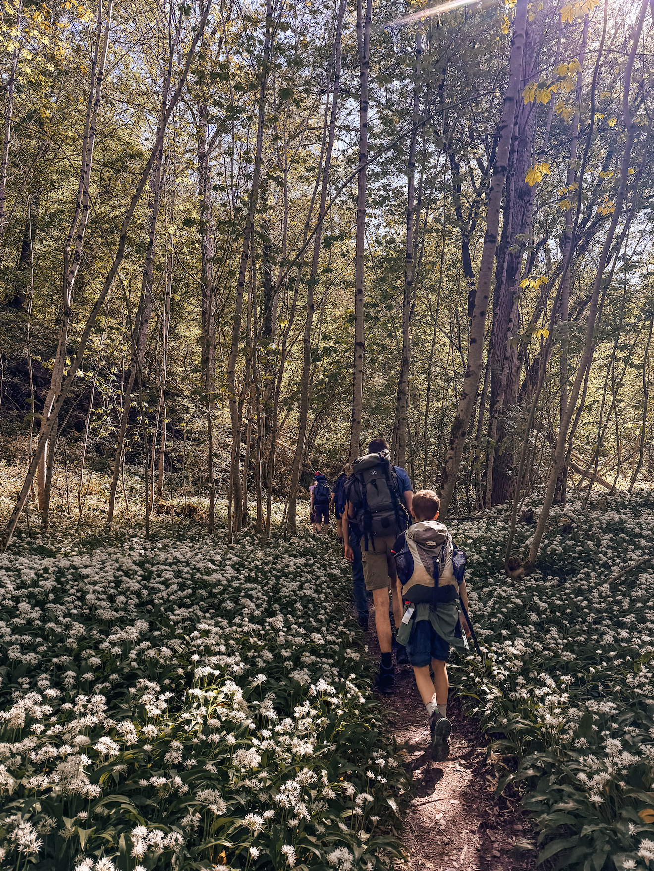 wandeling semois daslook.png