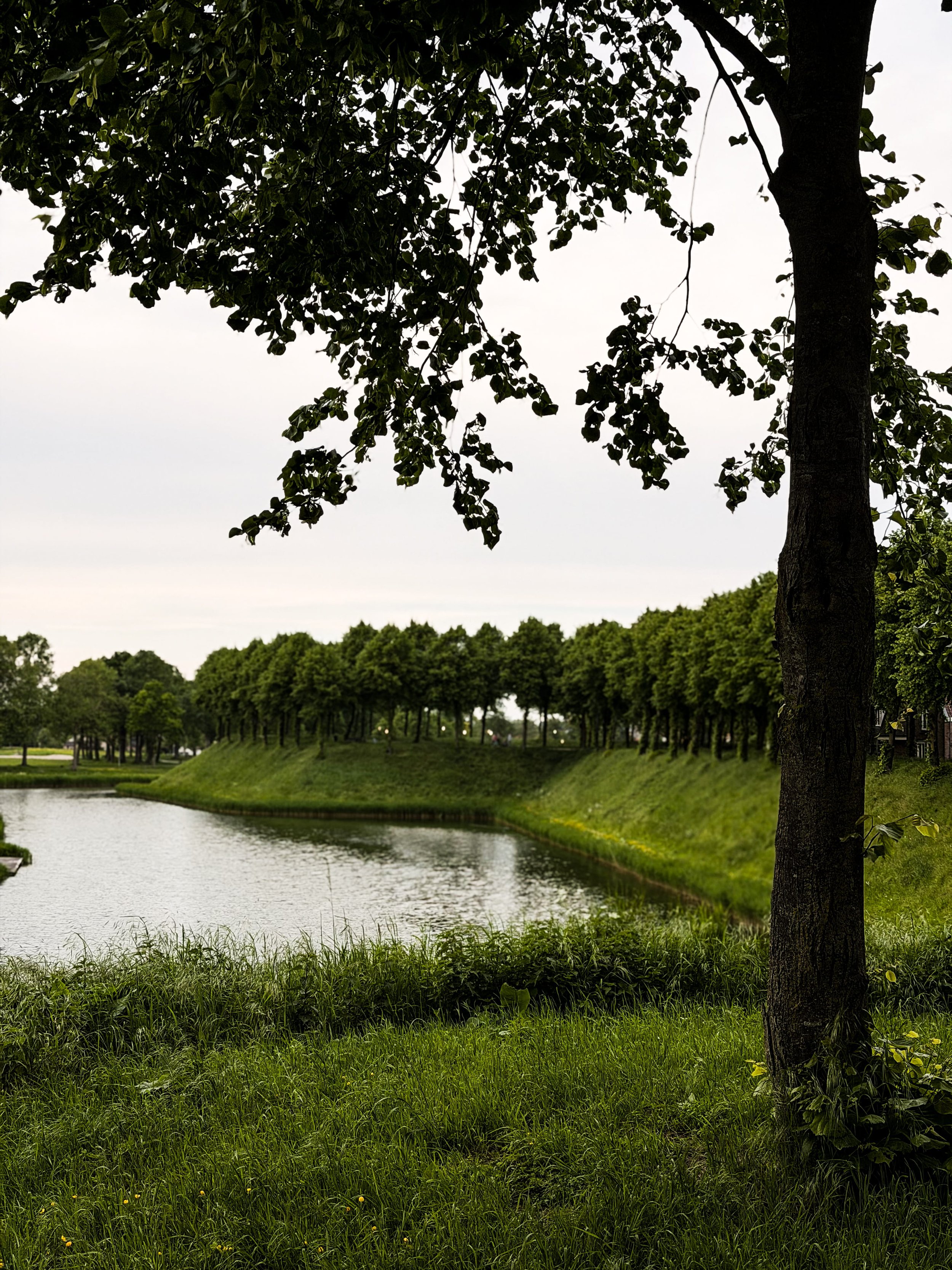 hulst bolwerk.jpg