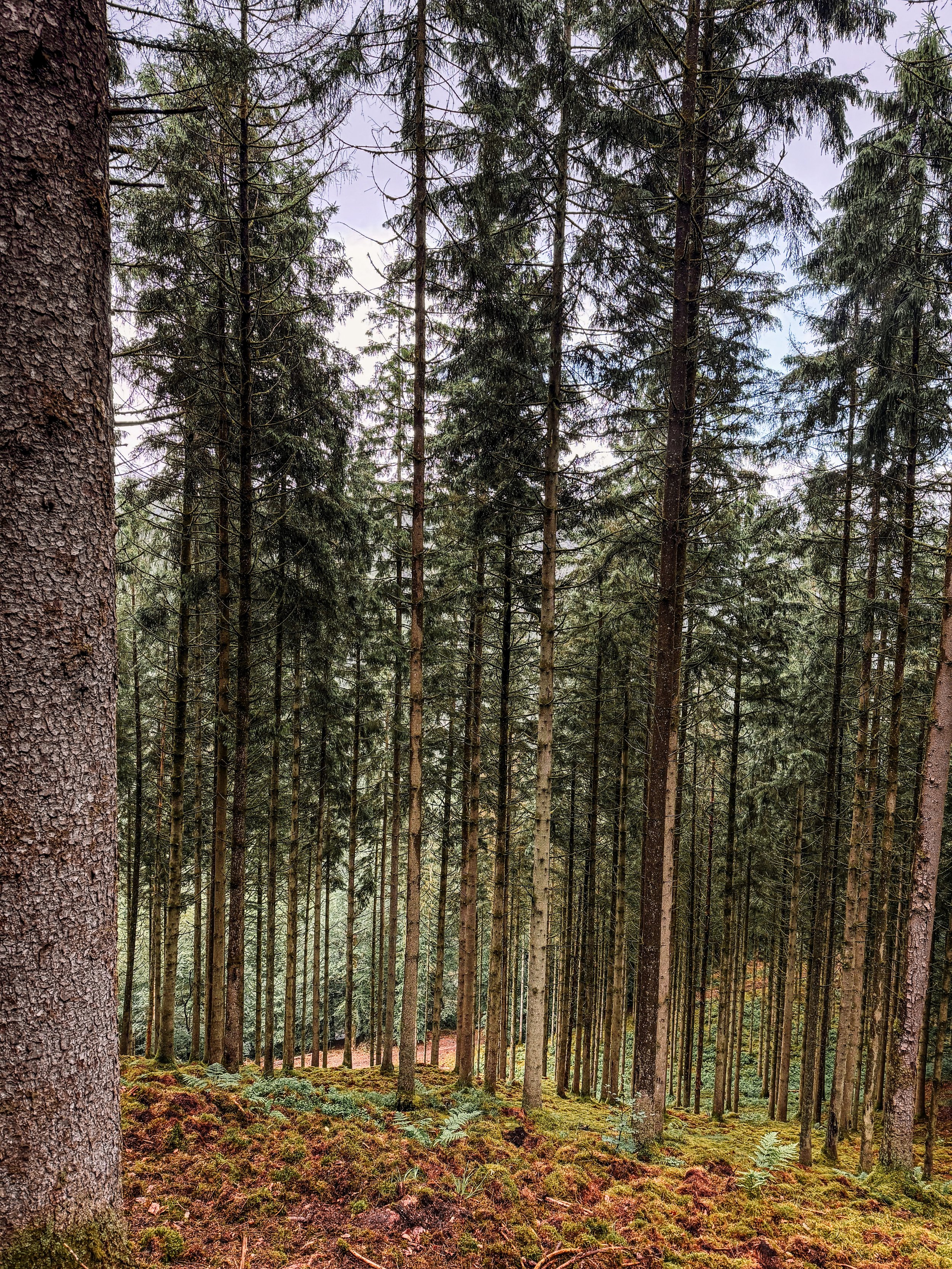 nomadsland hike.jpg