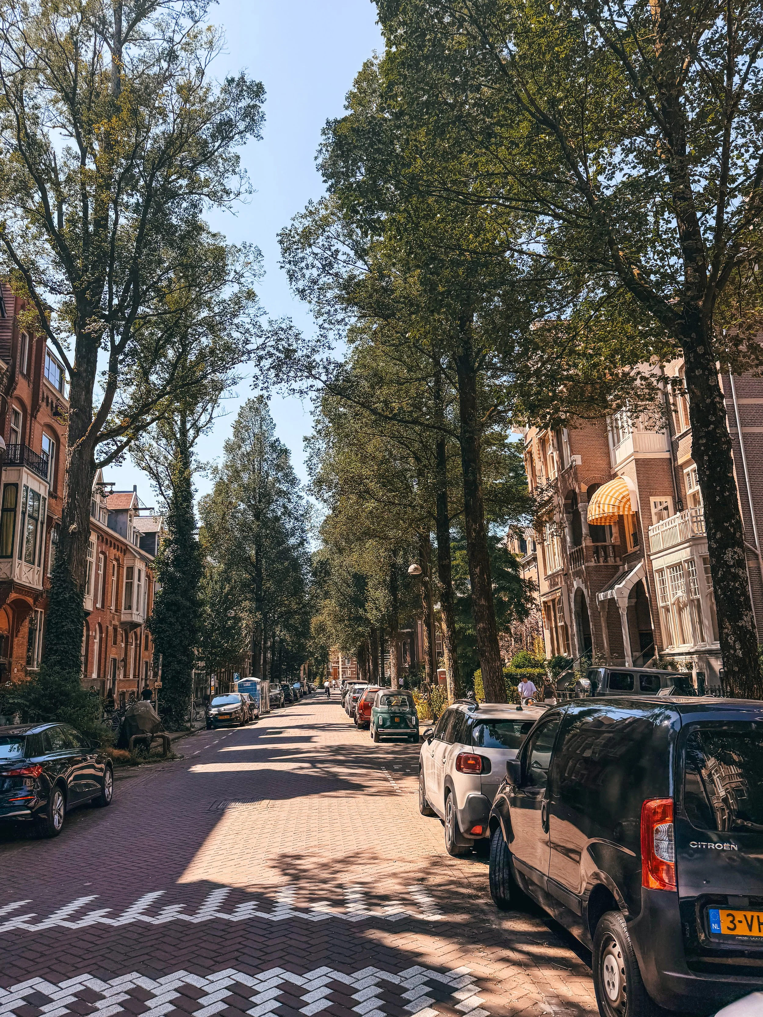 amsterdam wijken.jpg