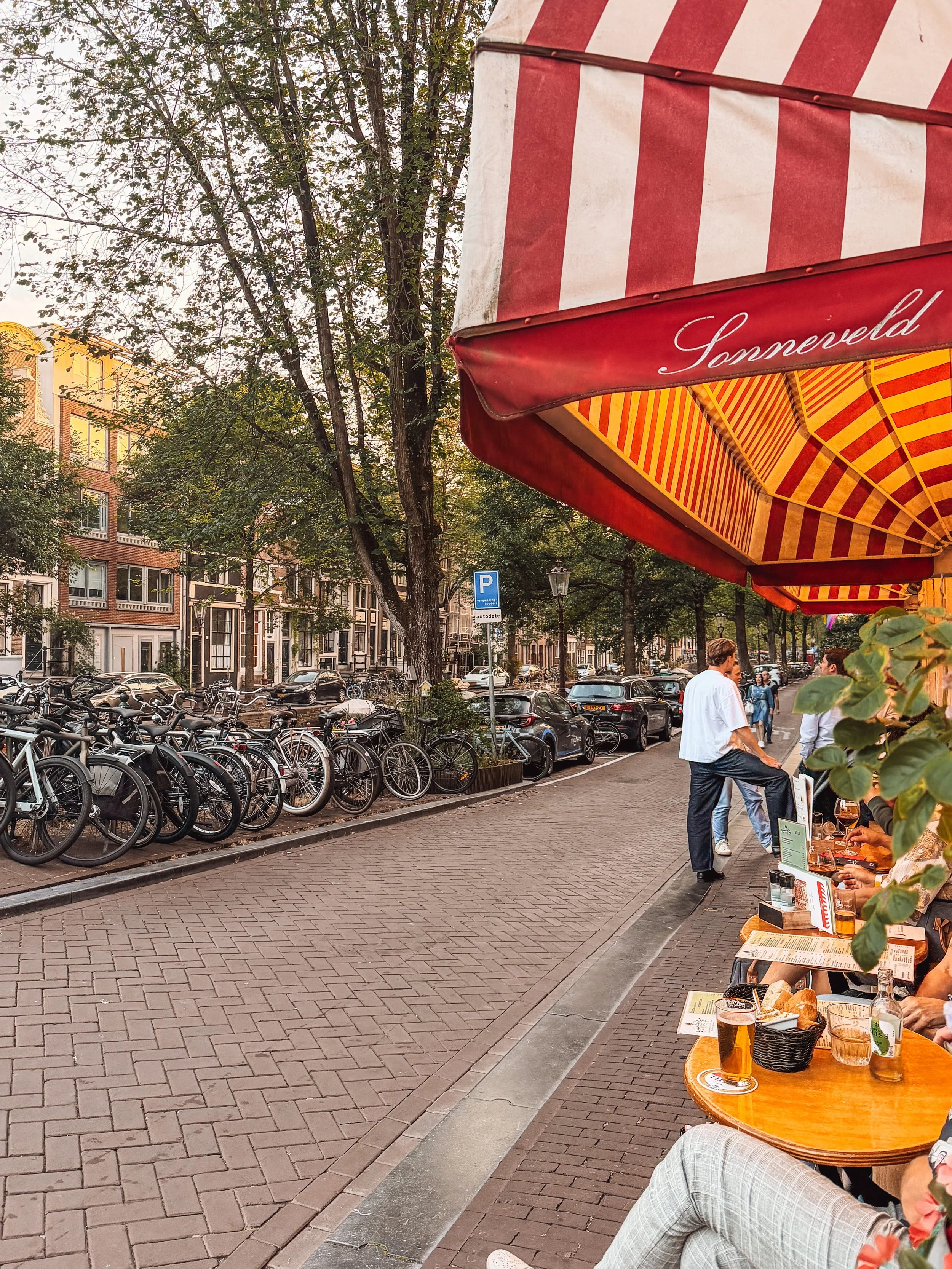 amsterdam sonneveldt.jpg