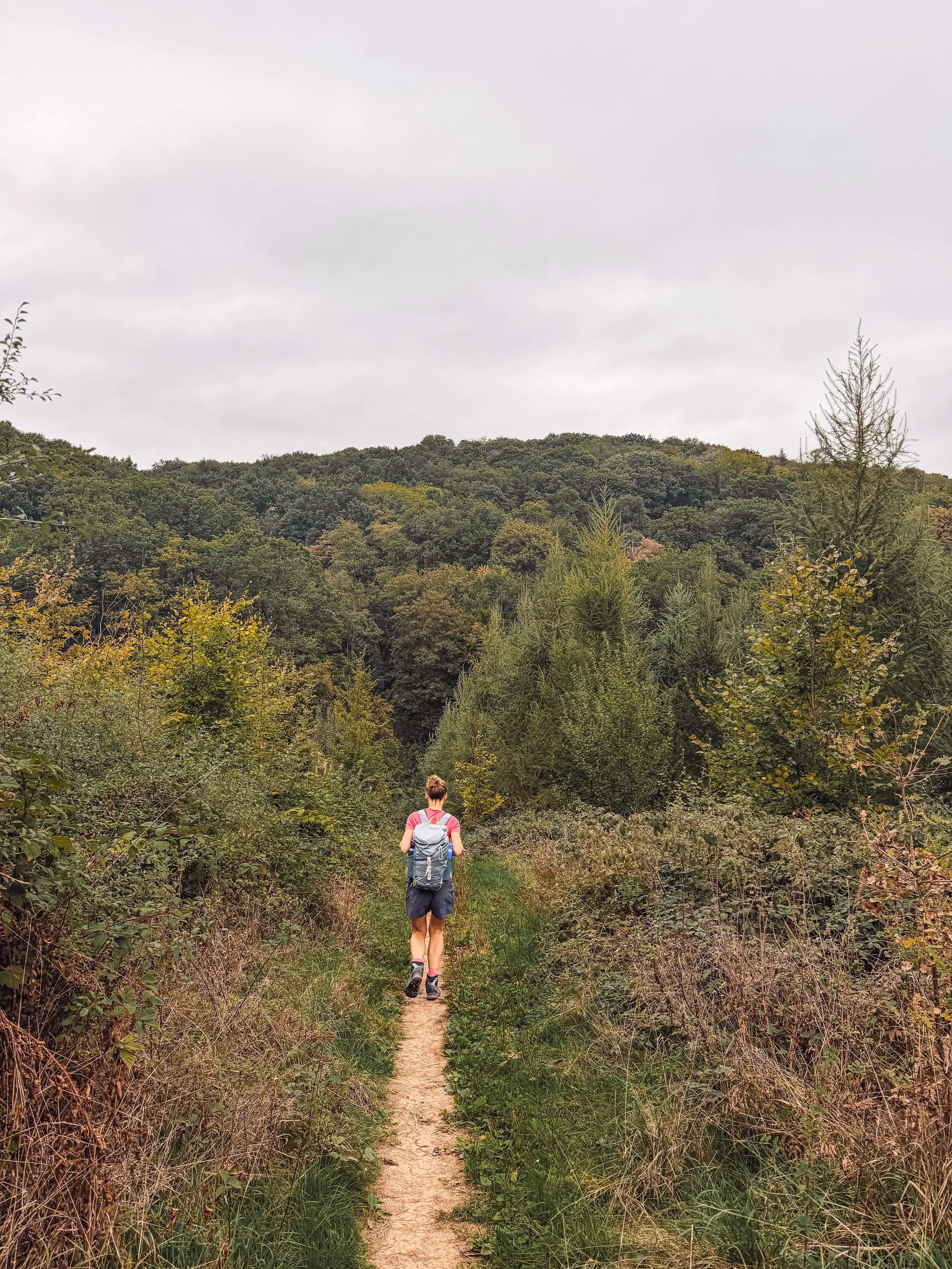 profondeville wandel trails.jpg