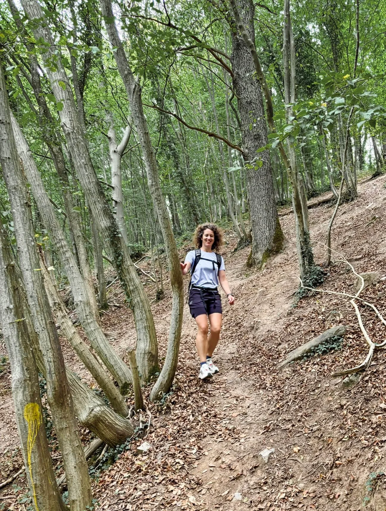 Pittige dagwandeling in Profondeville: 24 km langs de Maas en door de Ardennen