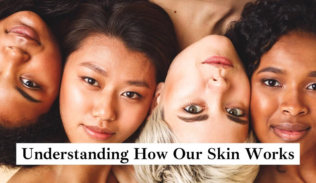 Understanding How Our Skin Works