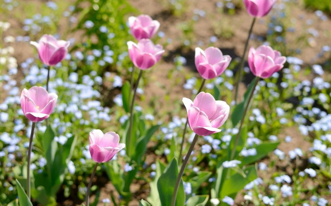 The Importance of Oxygen