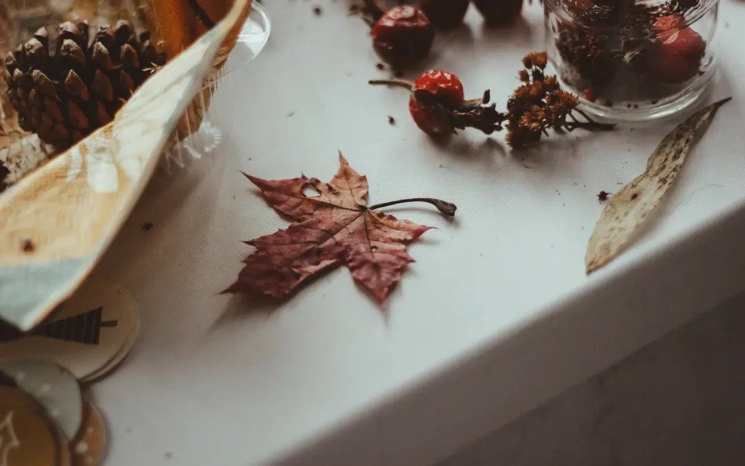 Treatment Options for Dry Skin