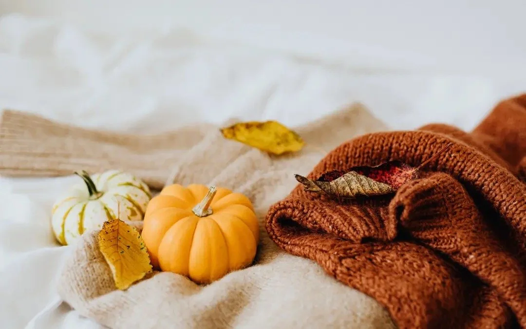 Pumpkin Peel – How it Benefits your Skin