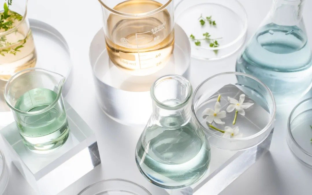 Active vs Inactive Ingredients: Everything You Need to Know About Them