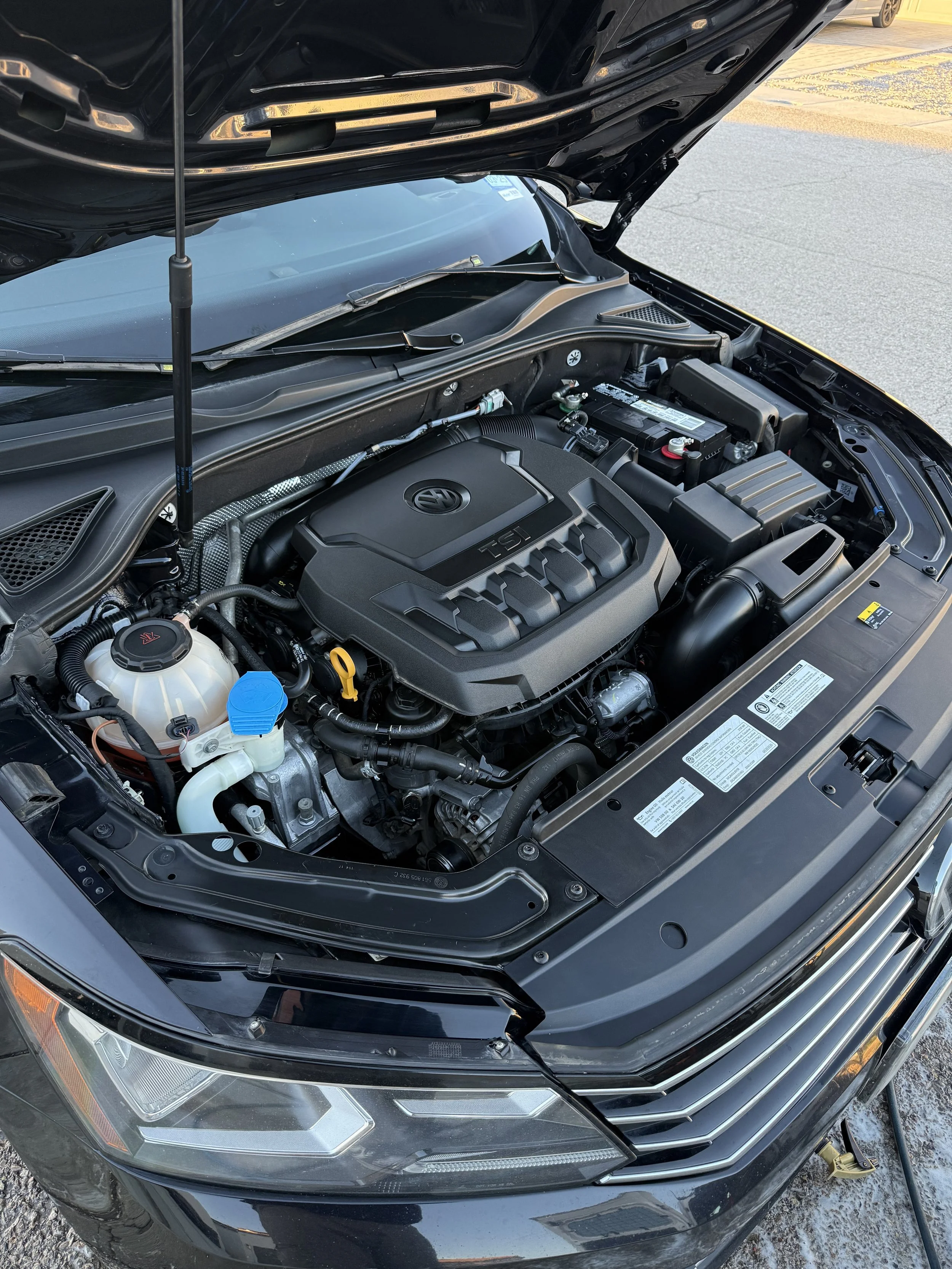 ev ev.jpg