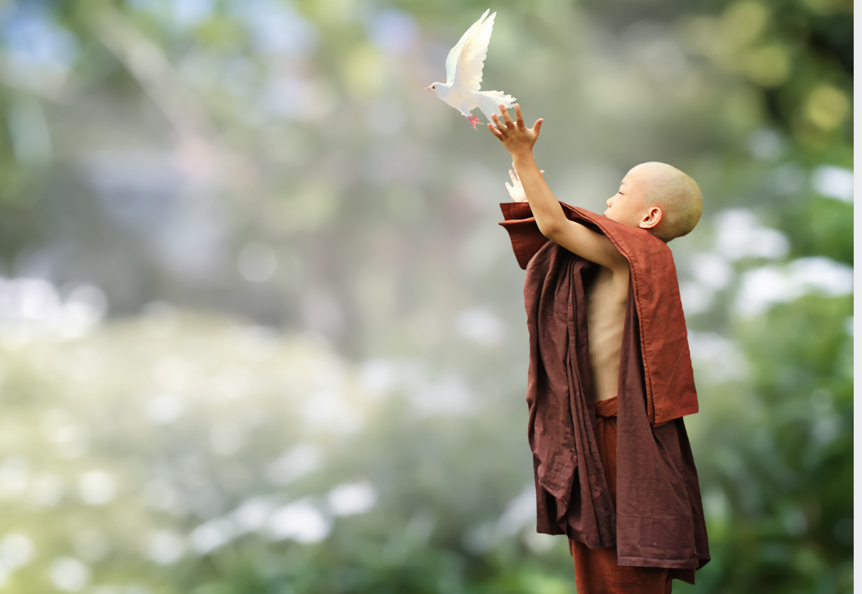 Gentle Mindfulness: A Moment to Simply Be Meditation