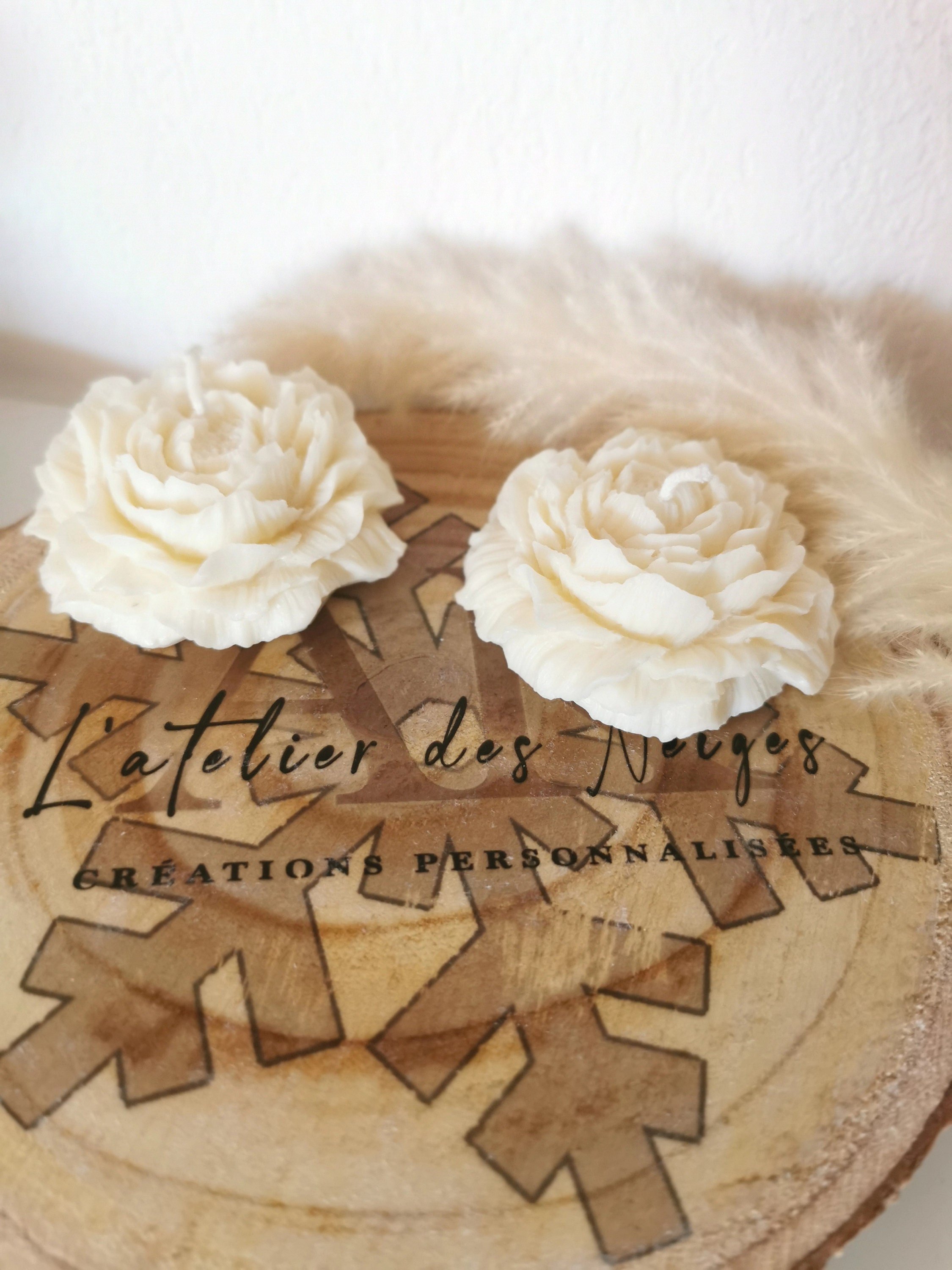https://i.etsystatic.com/43600080/r/il/05a183/5006518320/il_fullxfull.5006518320_lwtc.jpg