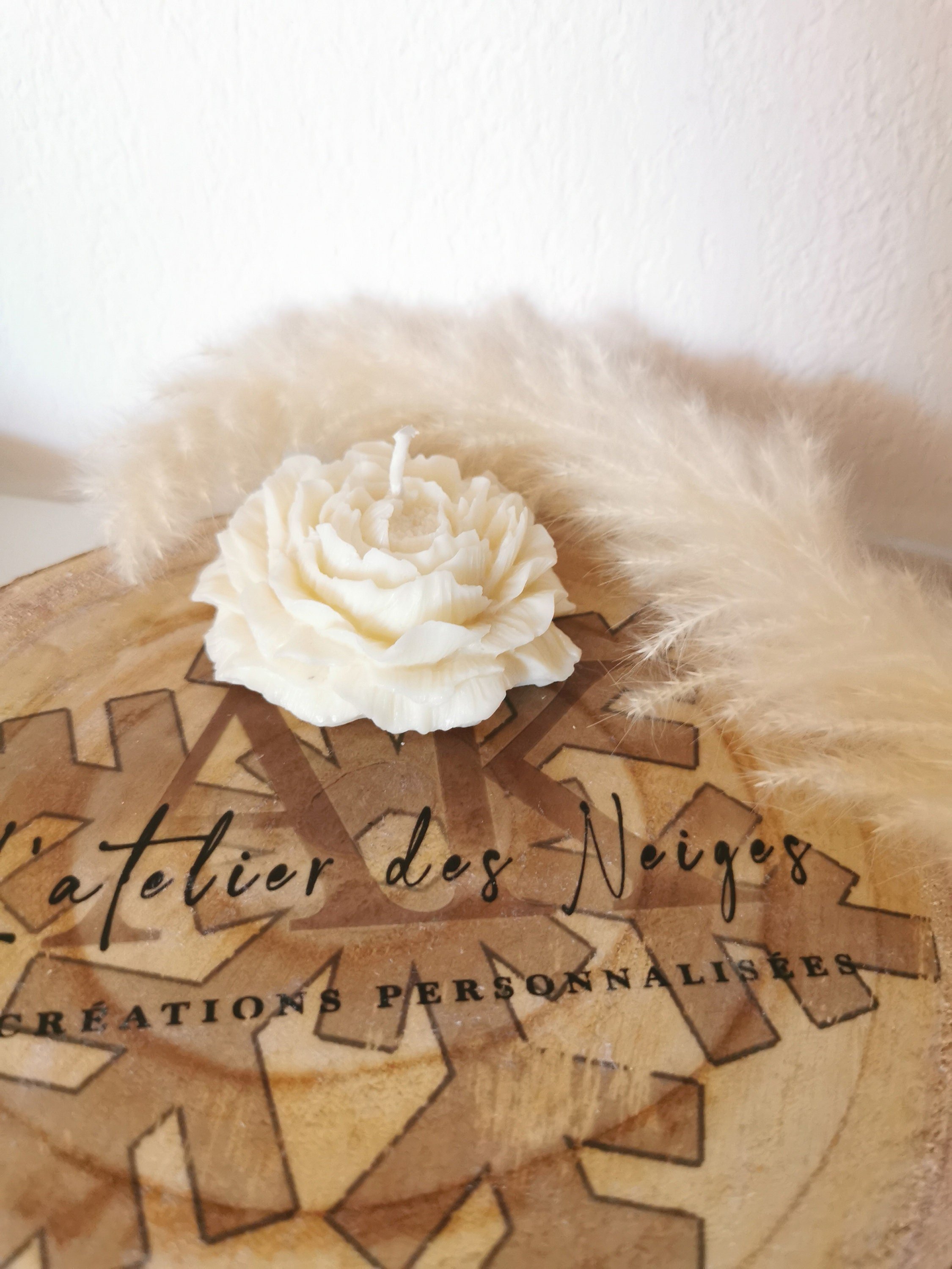 https://i.etsystatic.com/43600080/r/il/d2aa19/4920432038/il_fullxfull.4920432038_mm3j.jpg