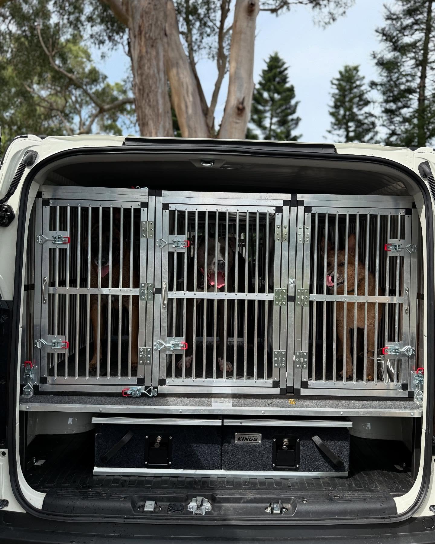 Dog bus complete ✅😍