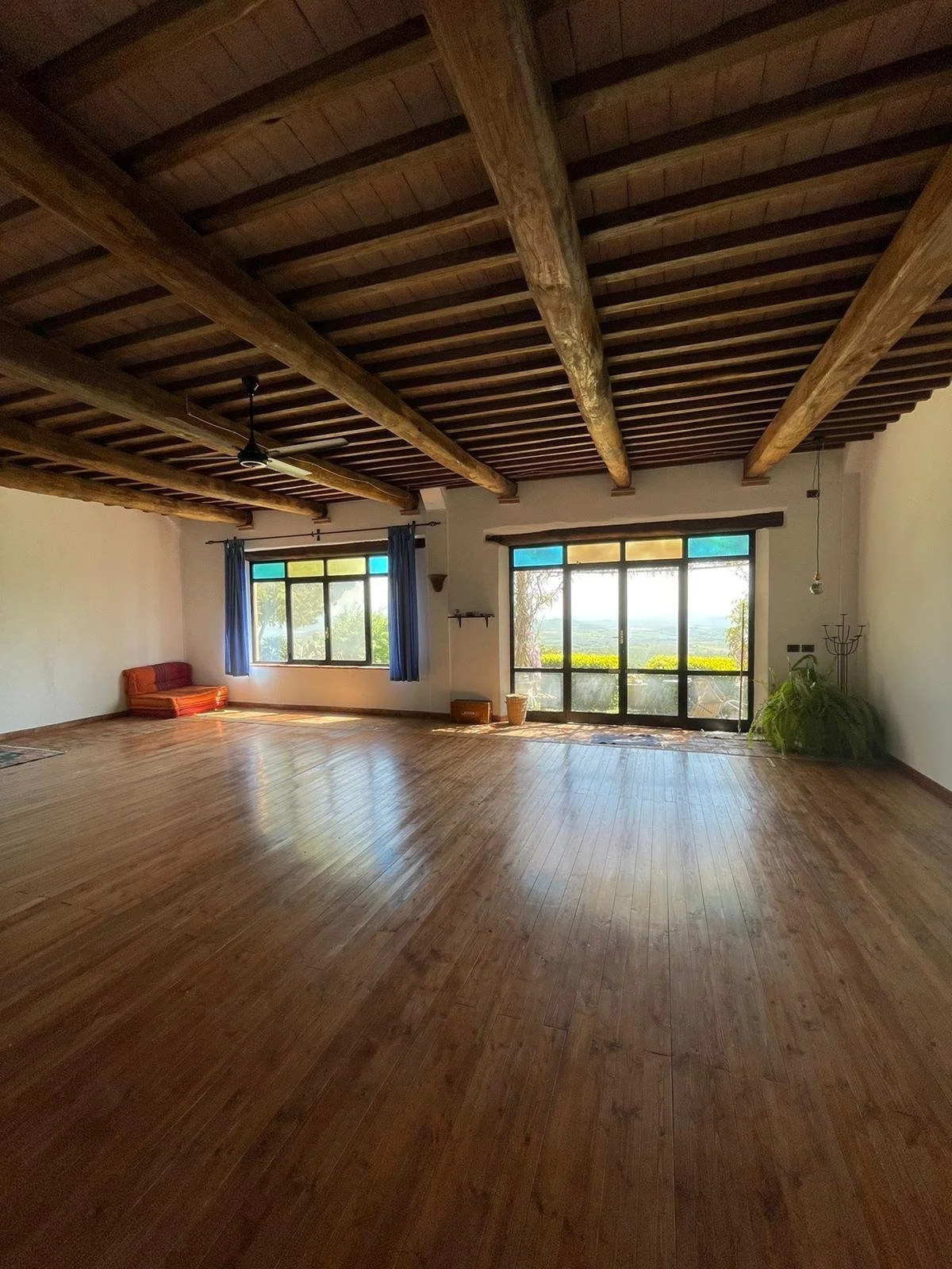 WhatsApp Image 2026-03-13 at 10.33.16-4.jpeg