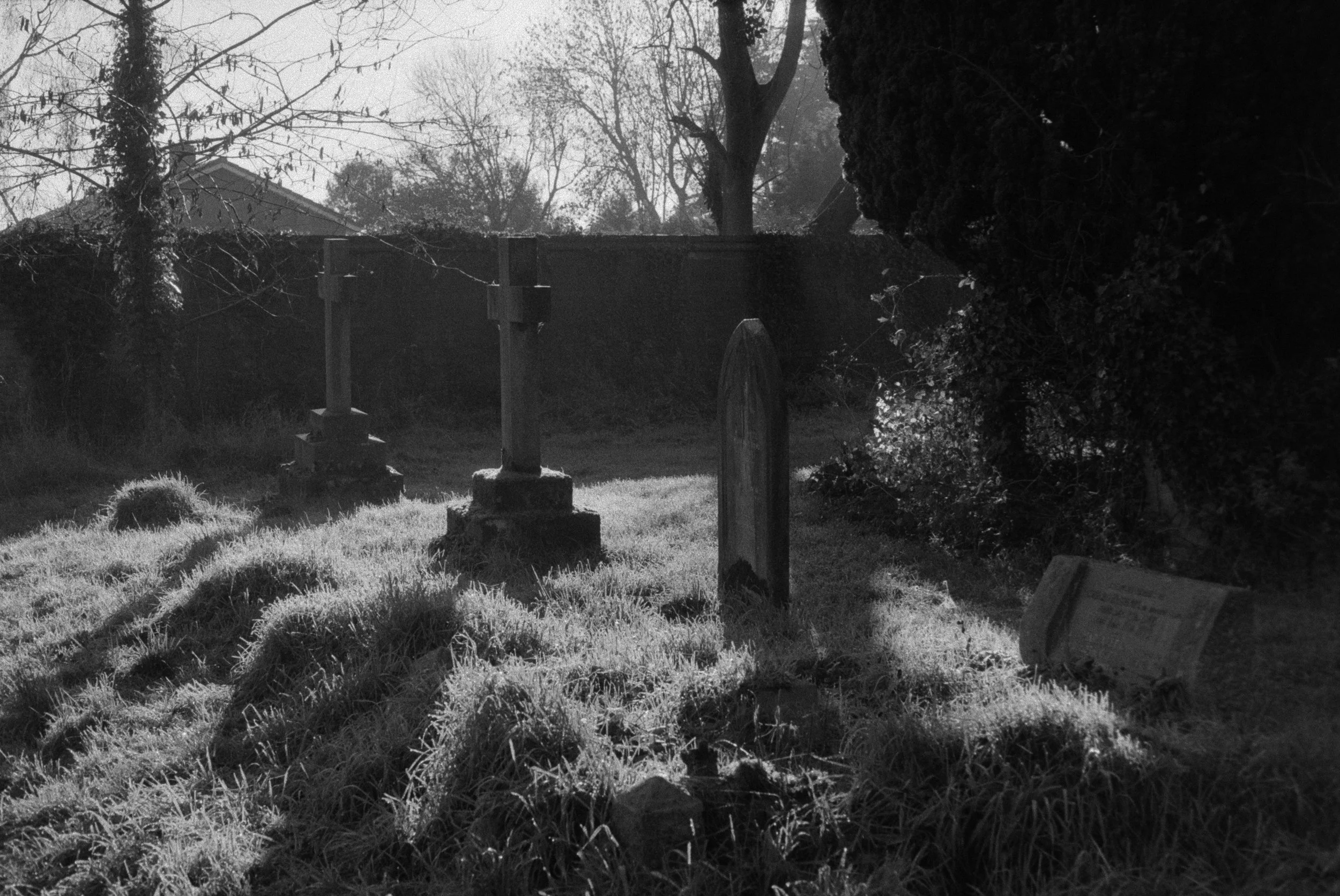DSCF7271.jpg