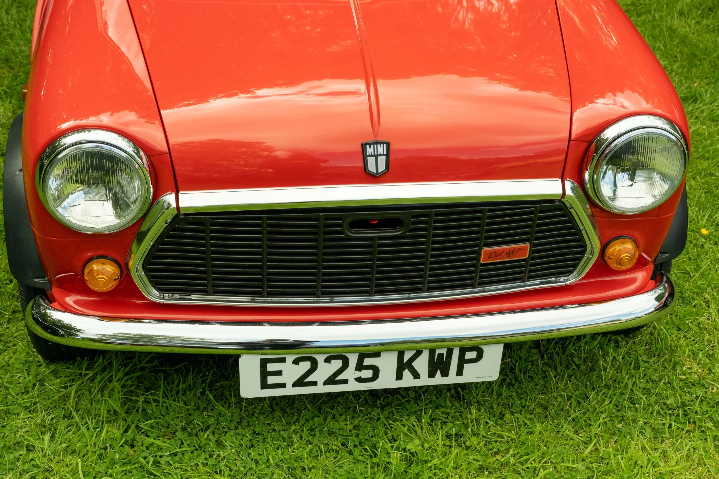 DSCF9956.jpg