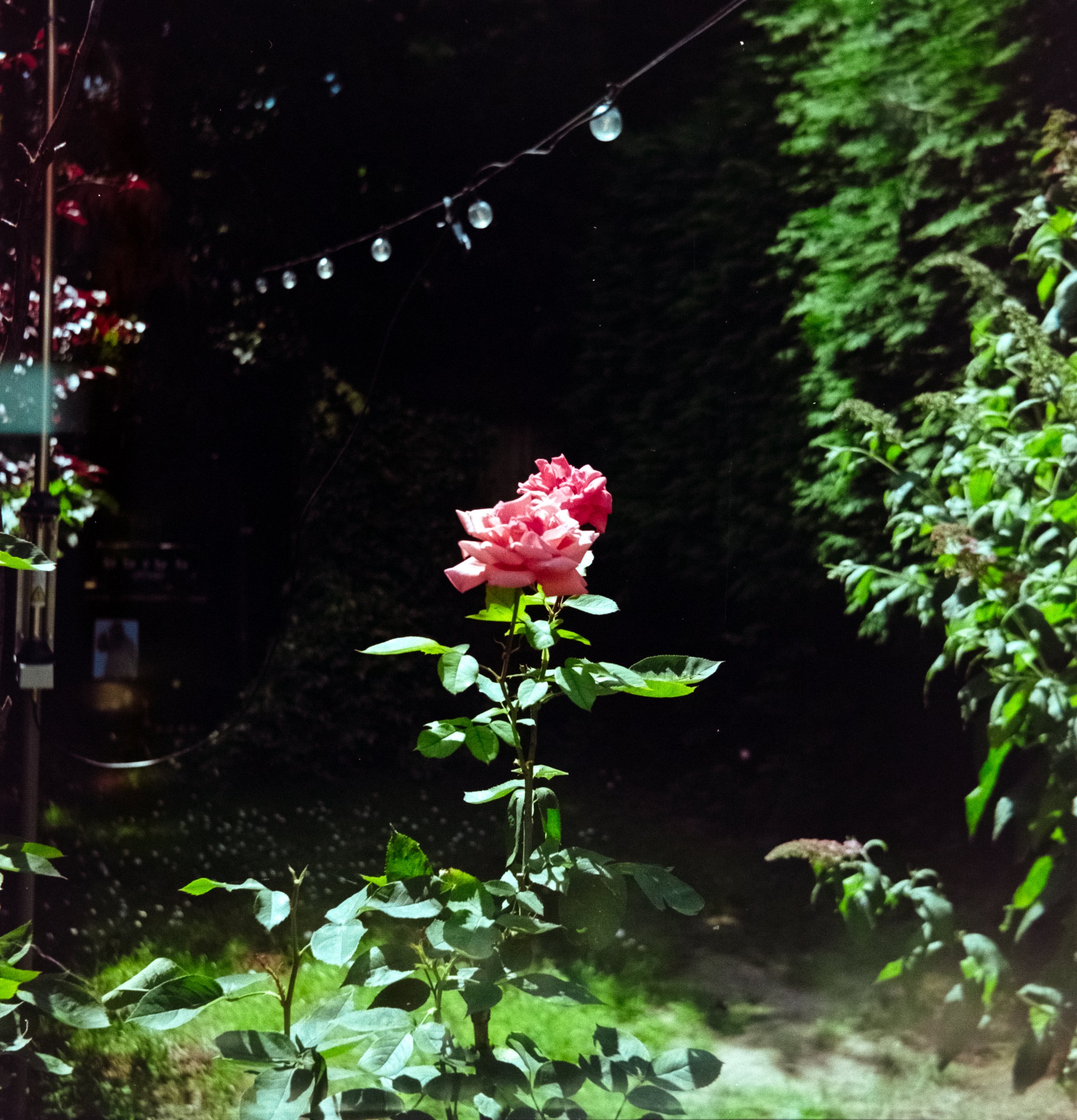 DSCF0294.jpg