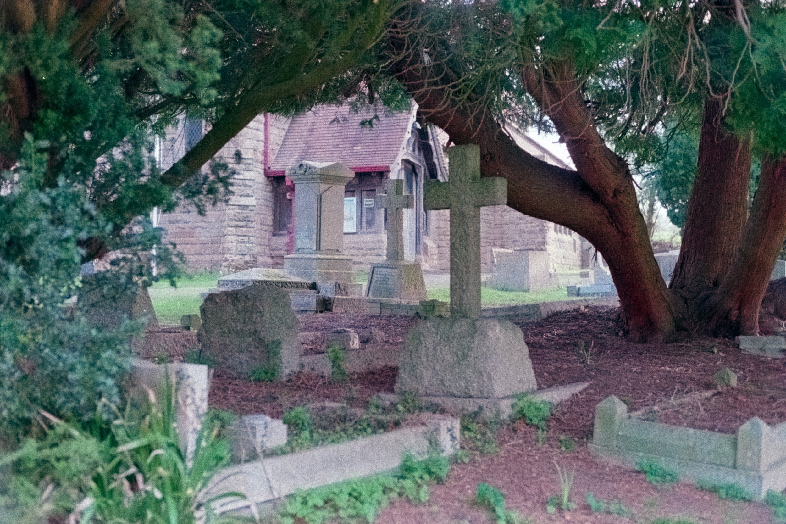 DSCF8274.jpg