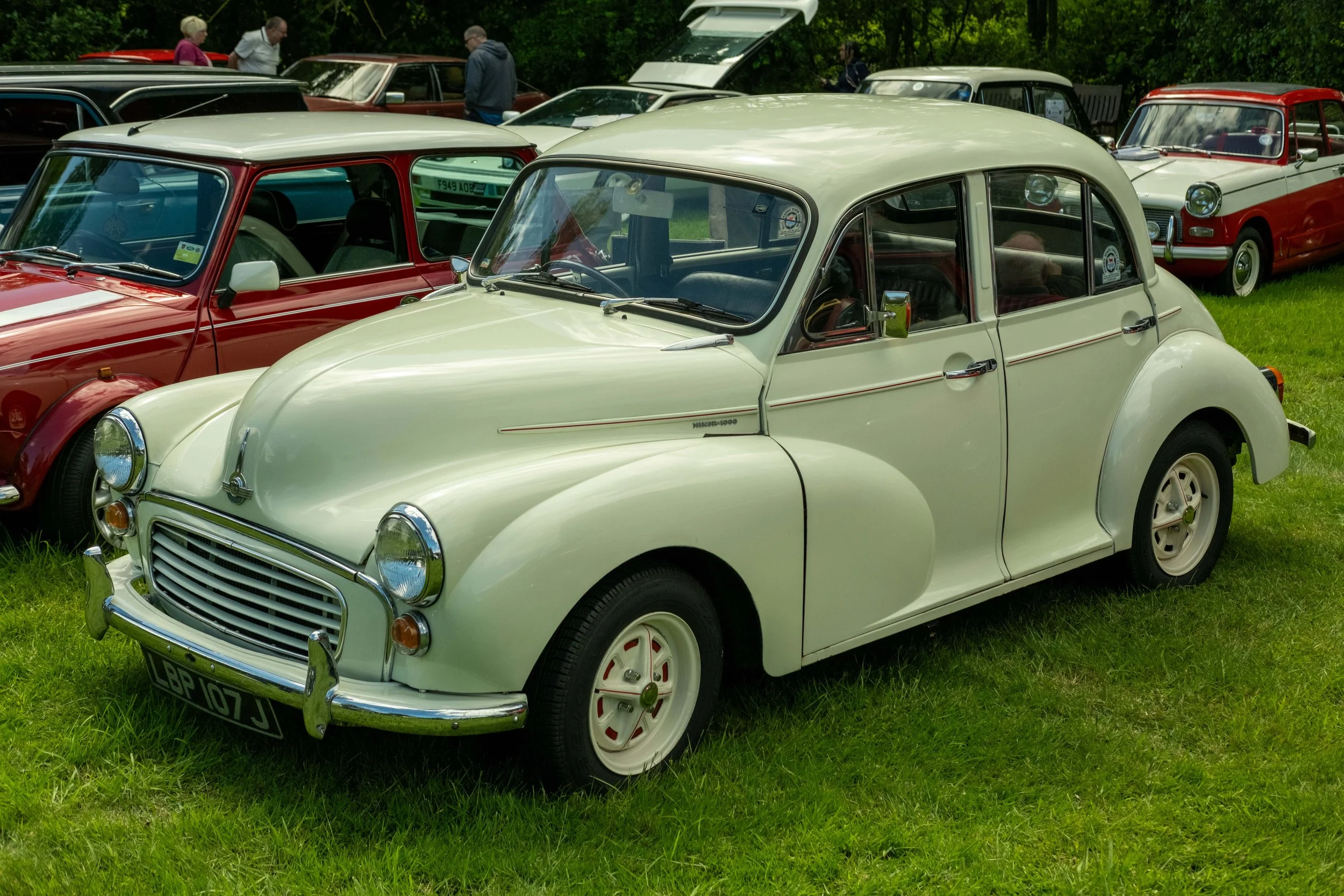 DSCF9990.jpg