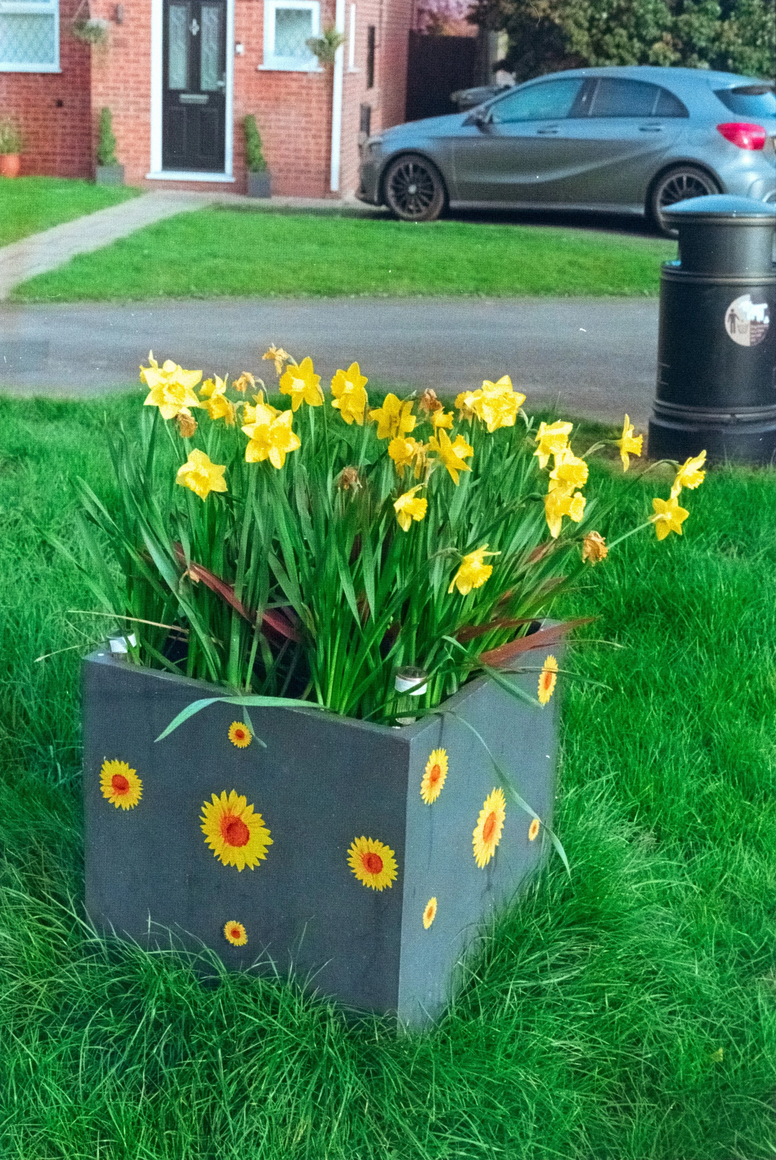 DSCF8273.jpg