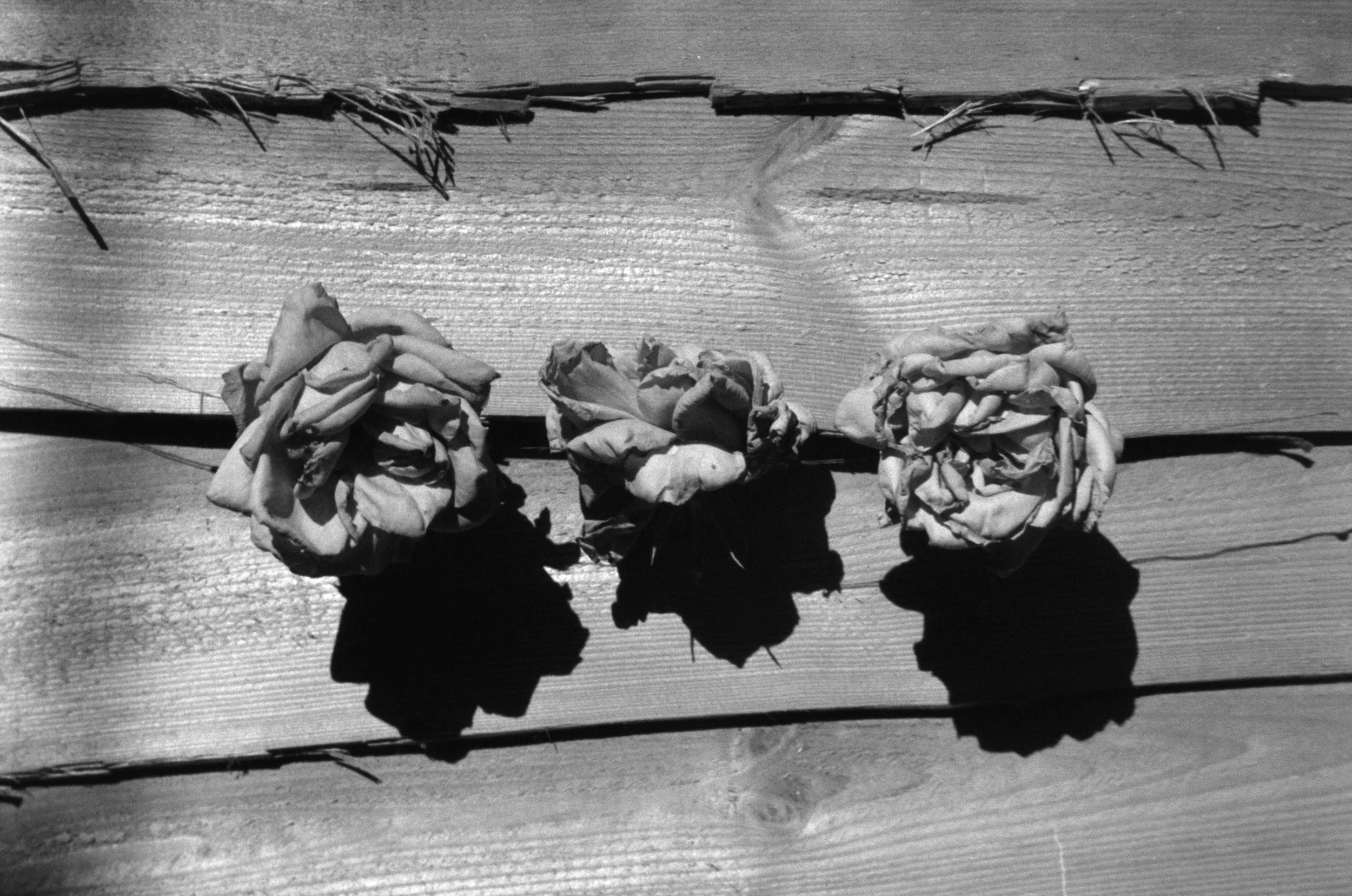 A black and white photograph of three flowers made from twisted and crumpled paper, attached to a horizontal wooden surface with a string or wire. Shadows cast by the flowers are visible on the wood.