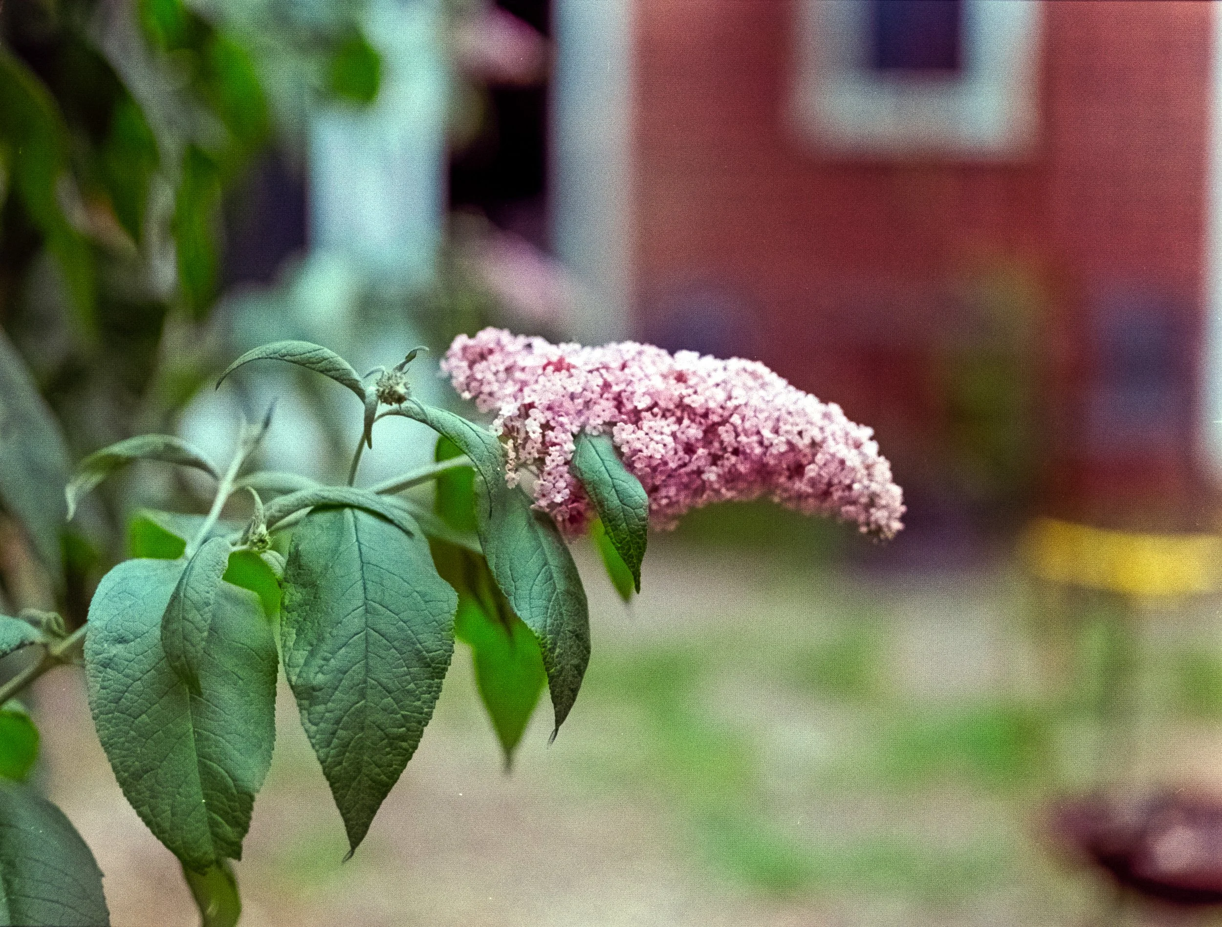 DSCF0394.jpg