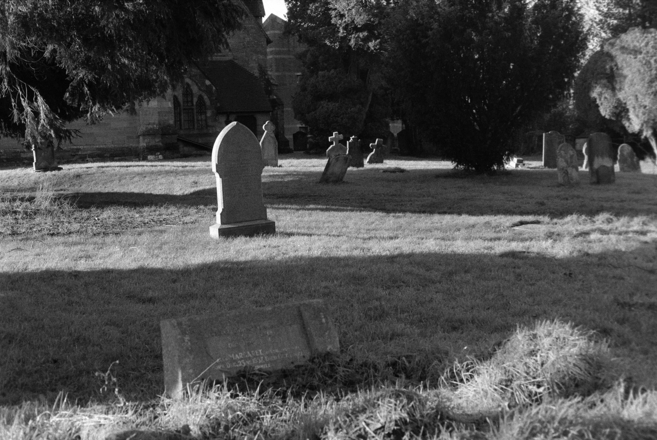 DSCF7278.jpg