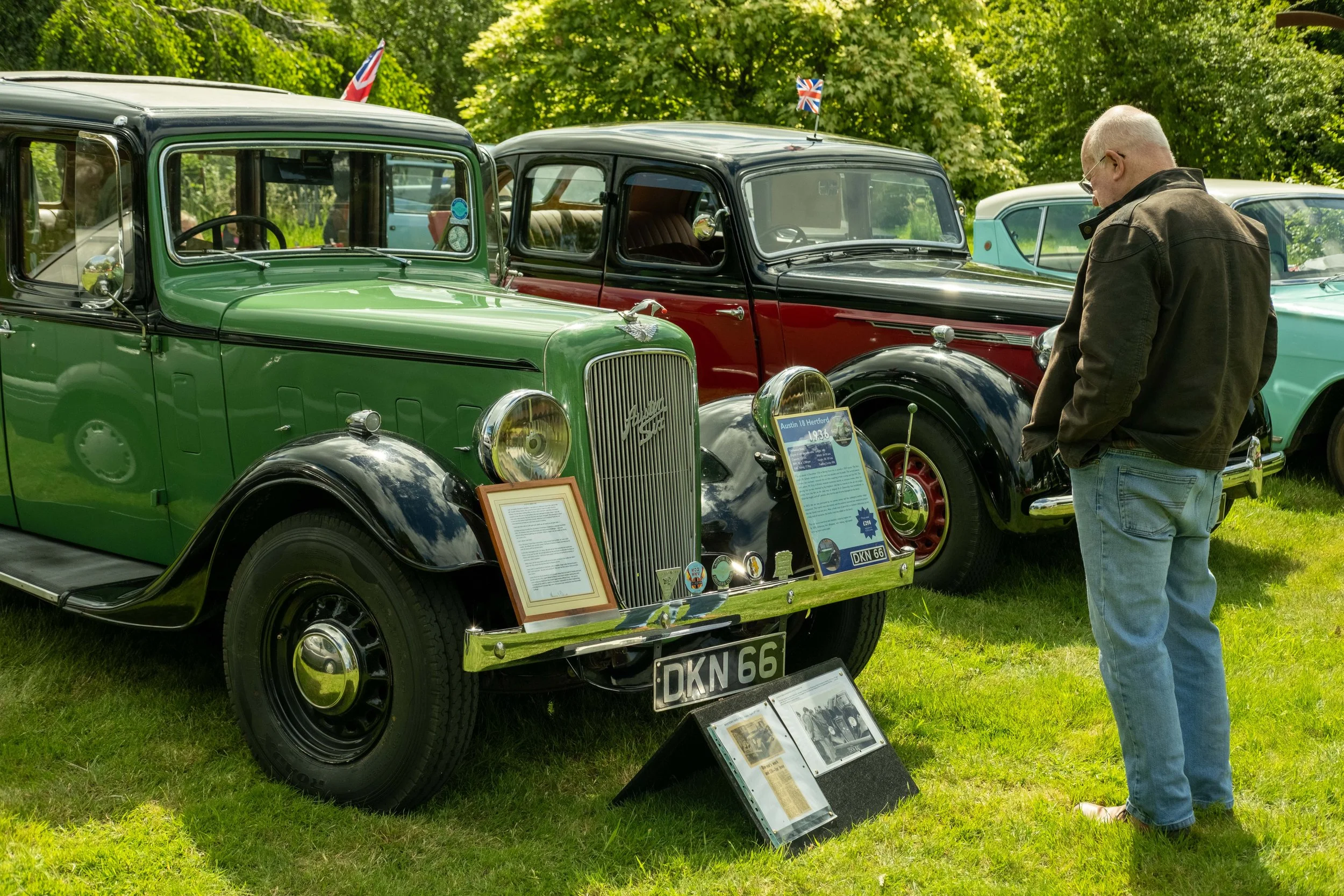 A man wearing glasses and a brown jacket looks at vintage cars on display at an outdoor car show. The cars include a green and black 1936 Austin 18 Hertford with a signboard, and a red and black car, with small Union Jack flags on their antennas. The
