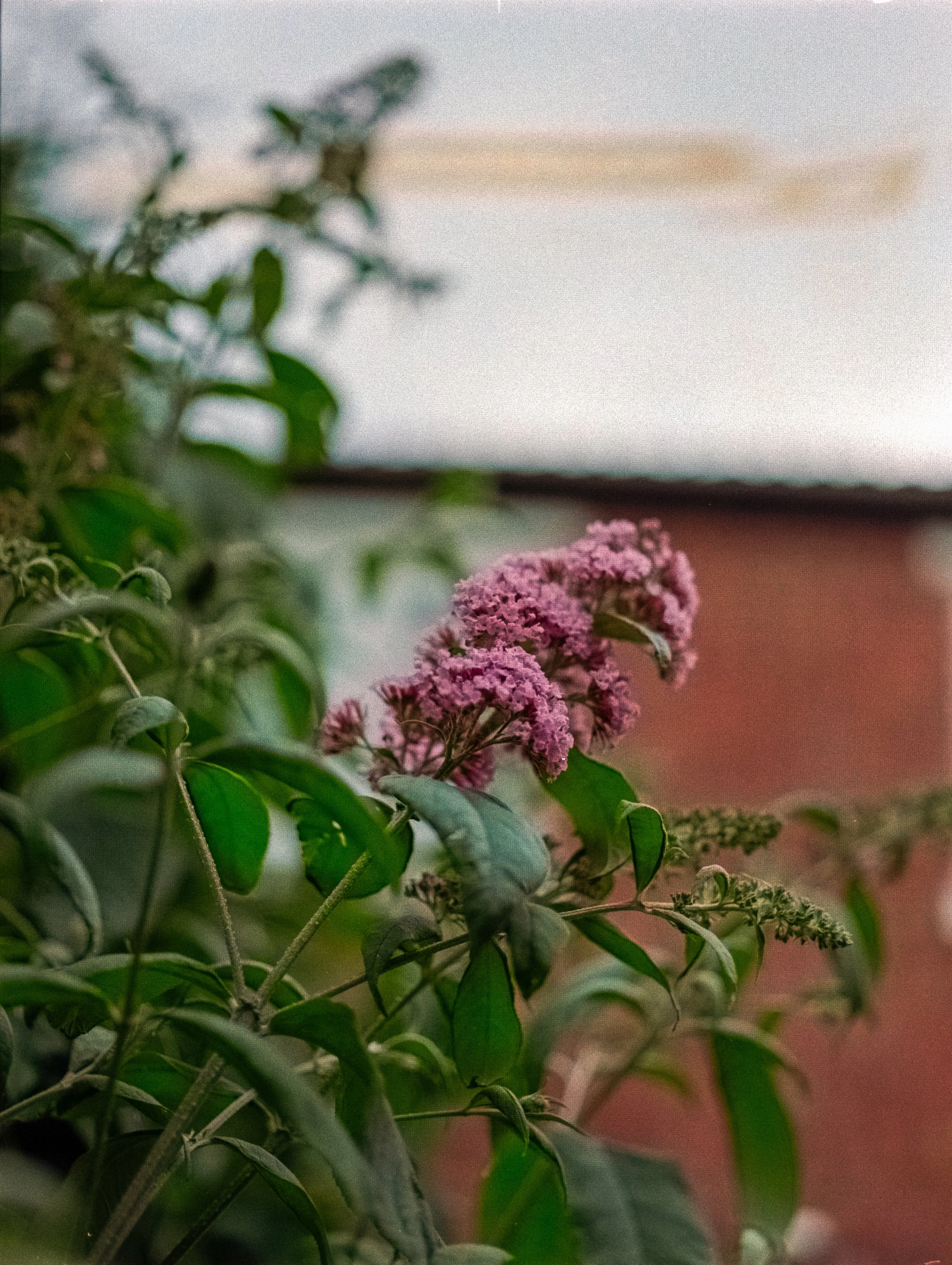 DSCF0395.jpg