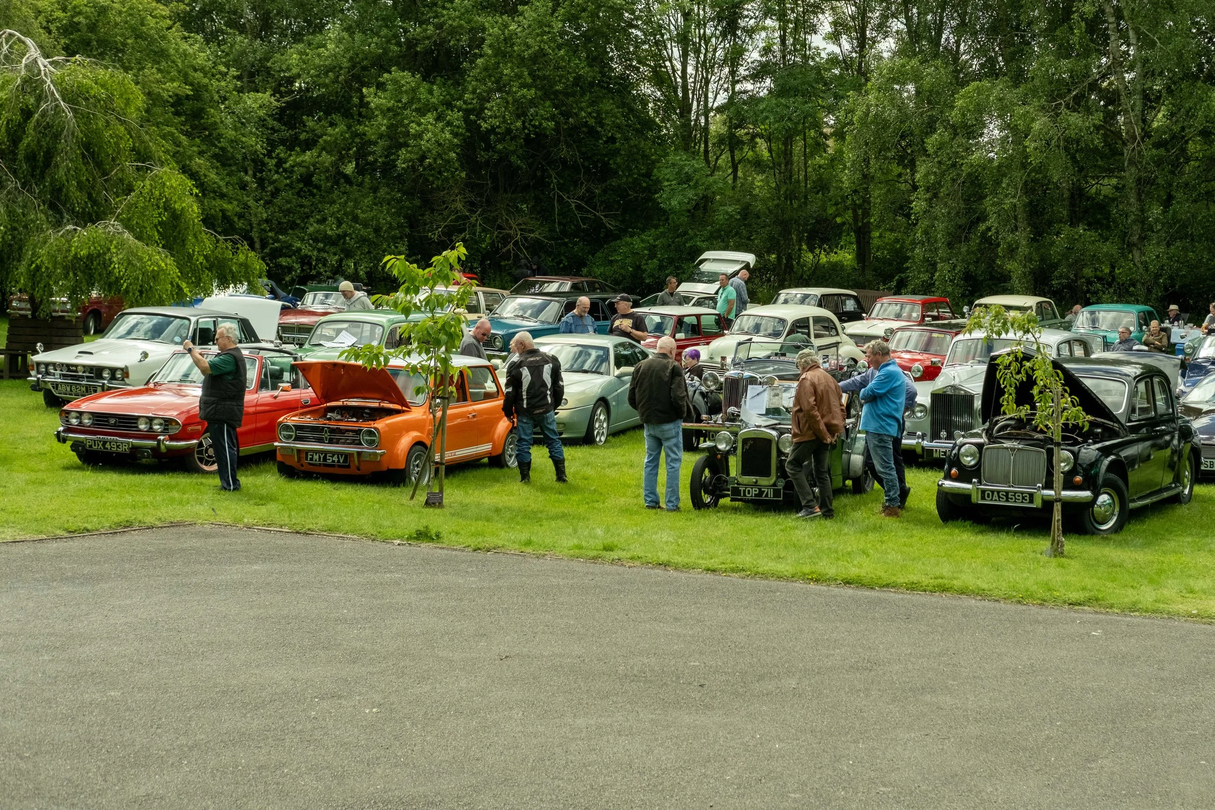 A display of vintage cars at a car show with many people walking around and viewing the vehicles, set against a backdrop of green trees and grass.