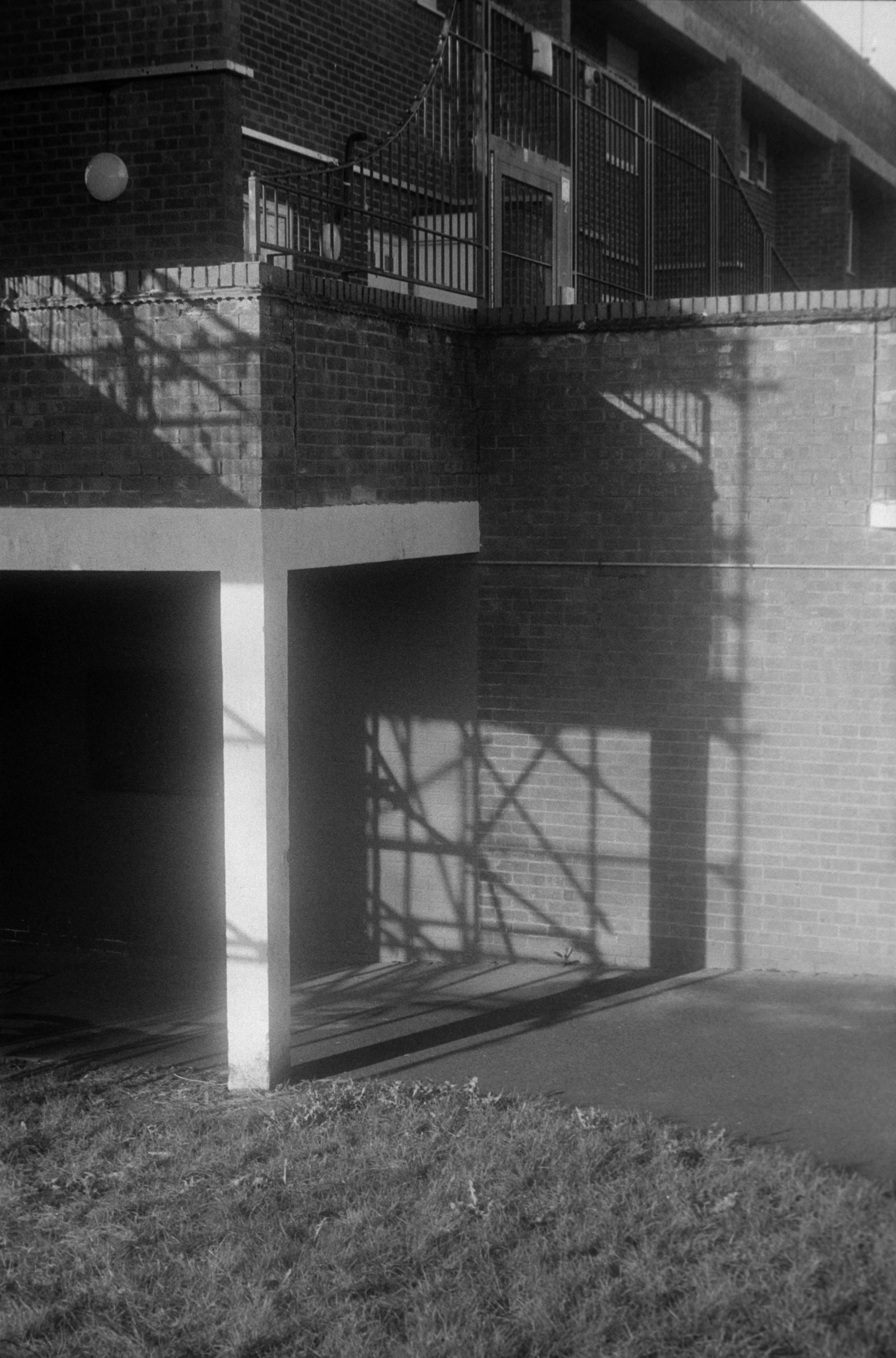 DSCF7553.jpg