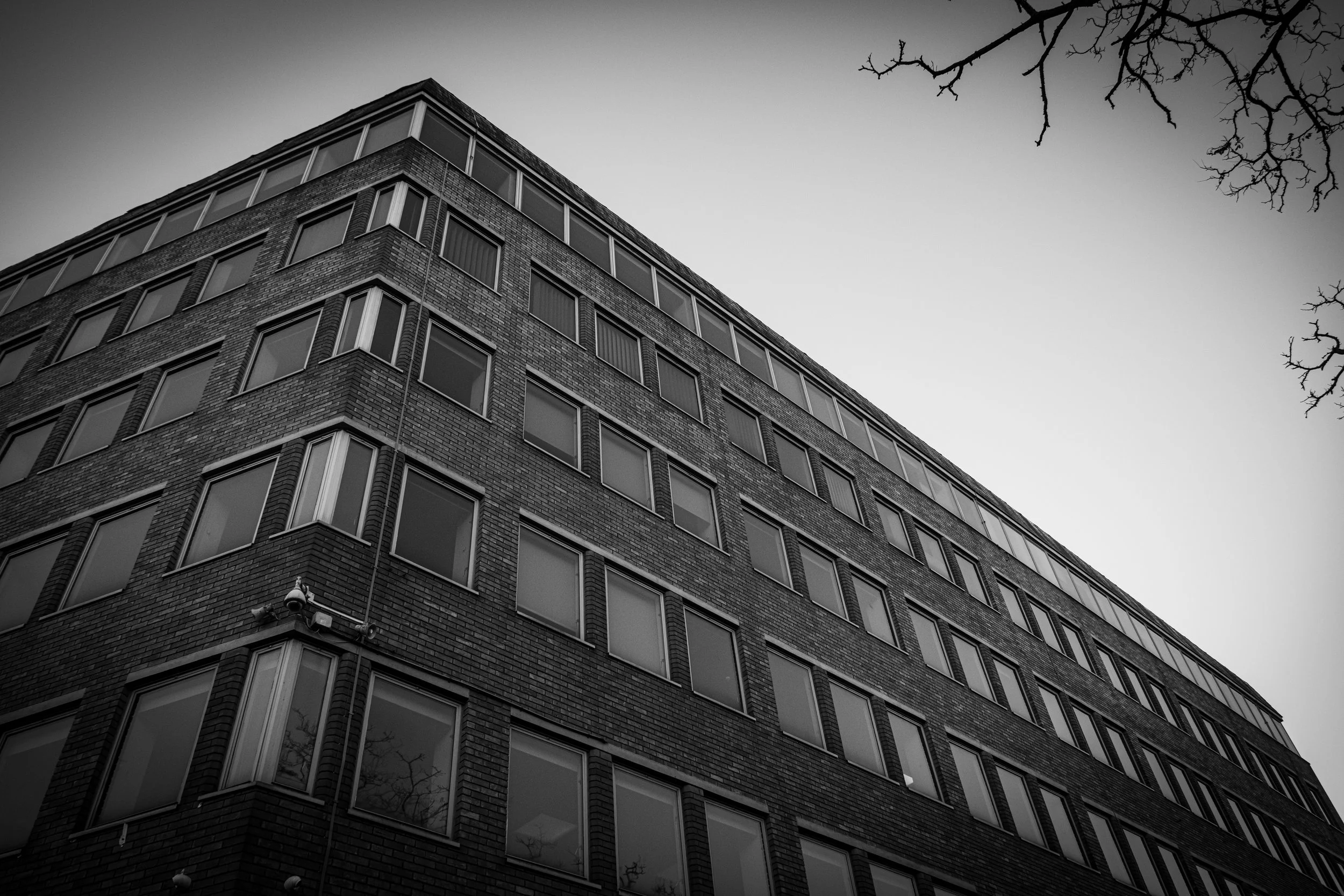 DSCF7182.jpg