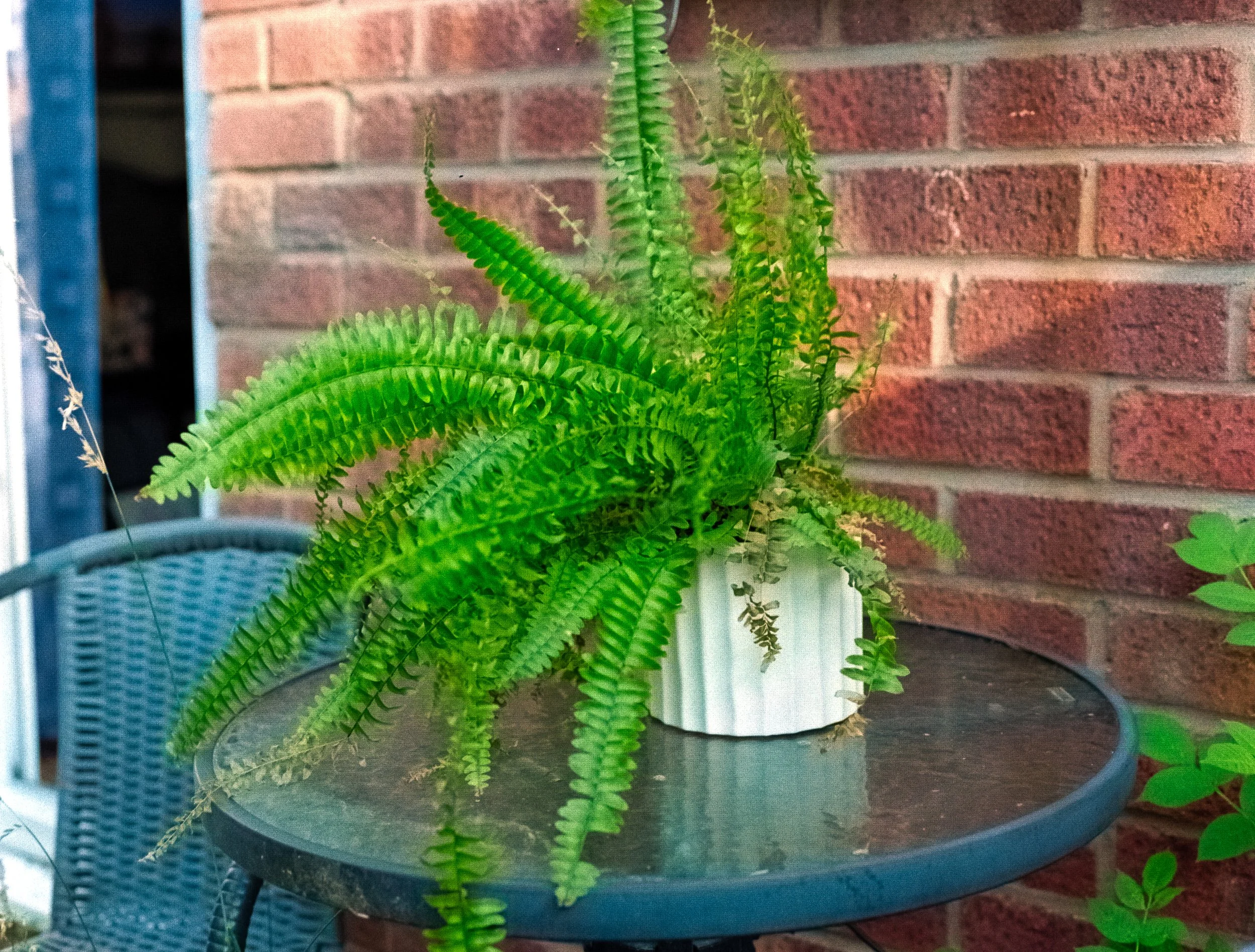 DSCF0387.jpg