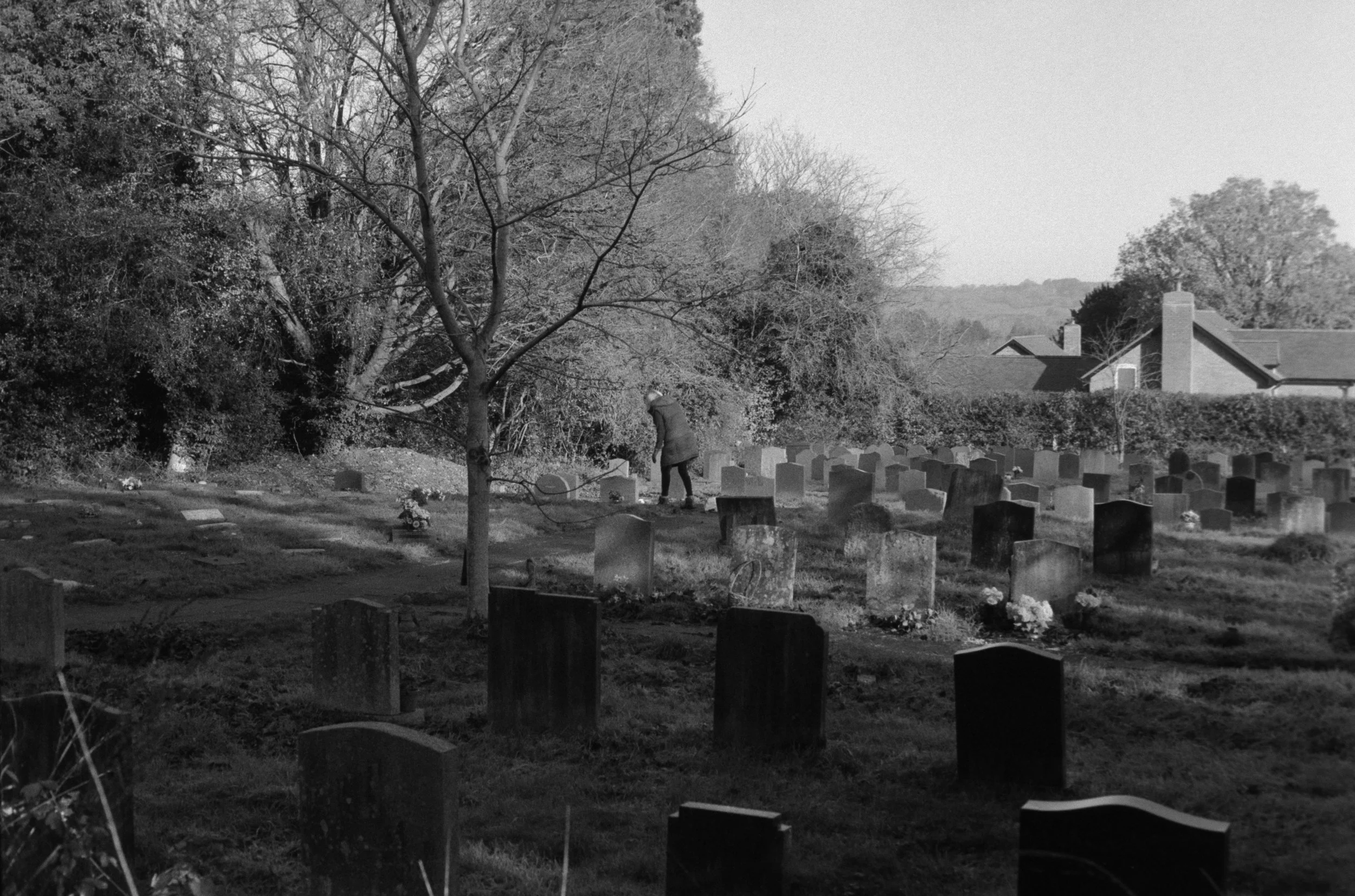 DSCF7280.jpg