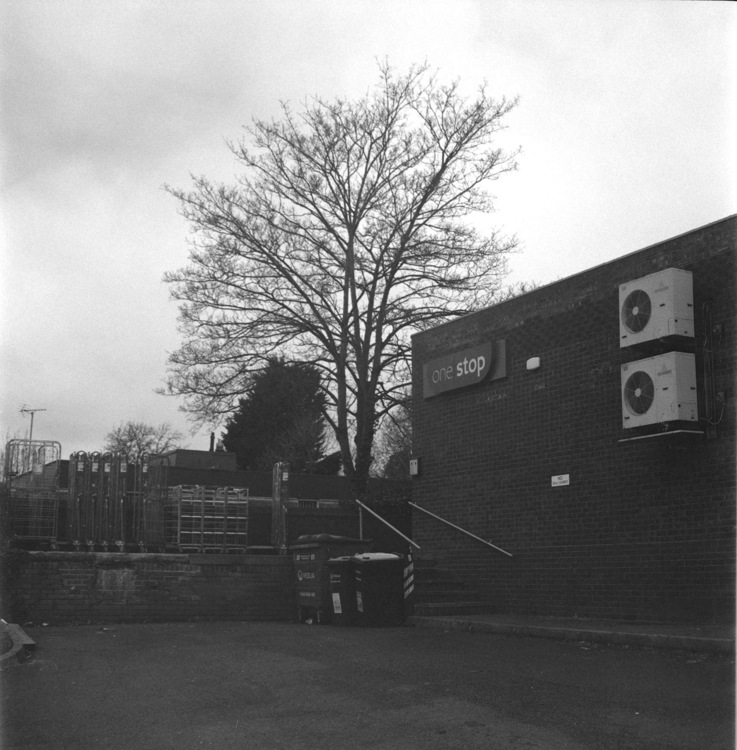 DSCF7520.jpg
