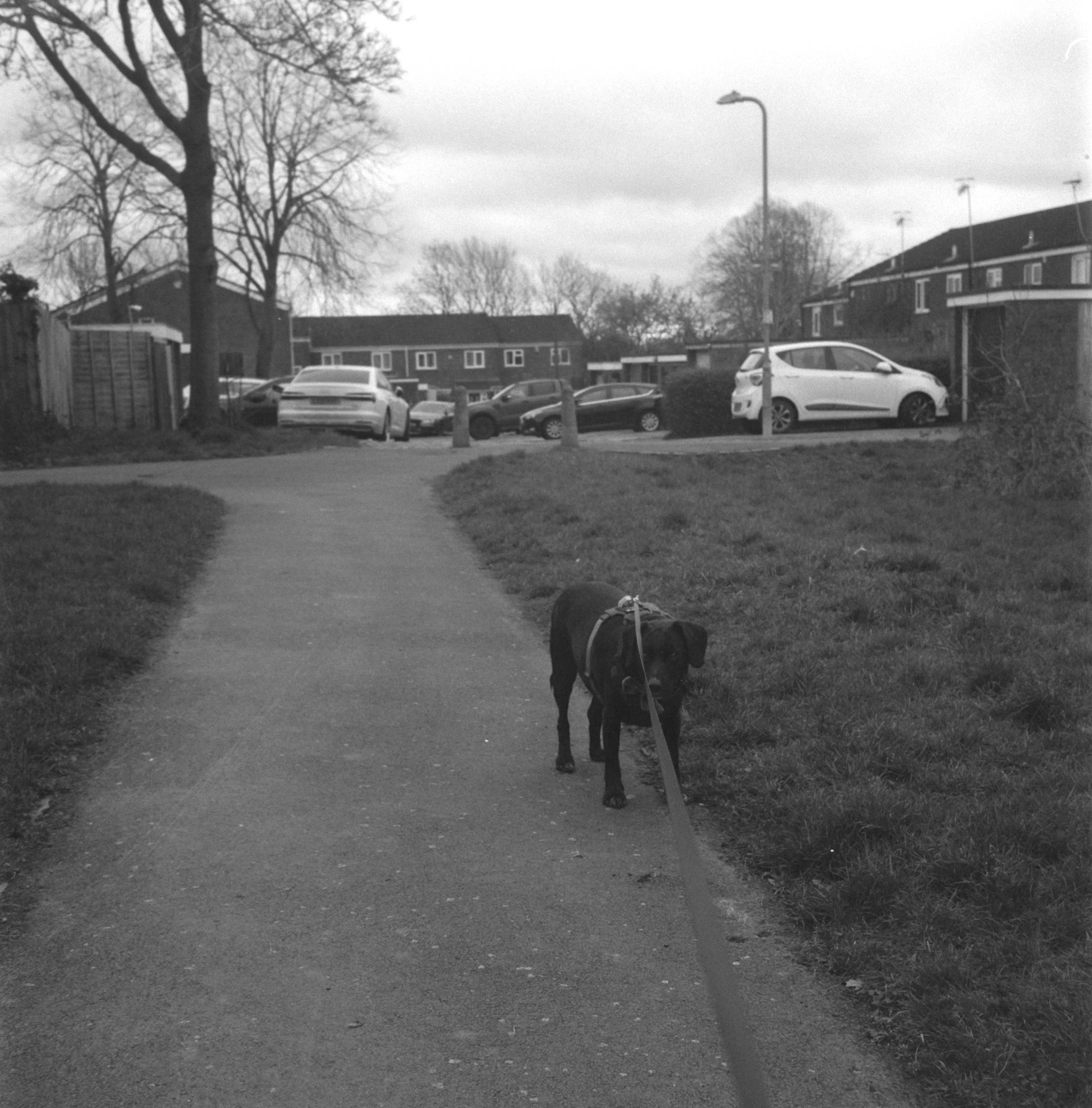DSCF7513.jpg