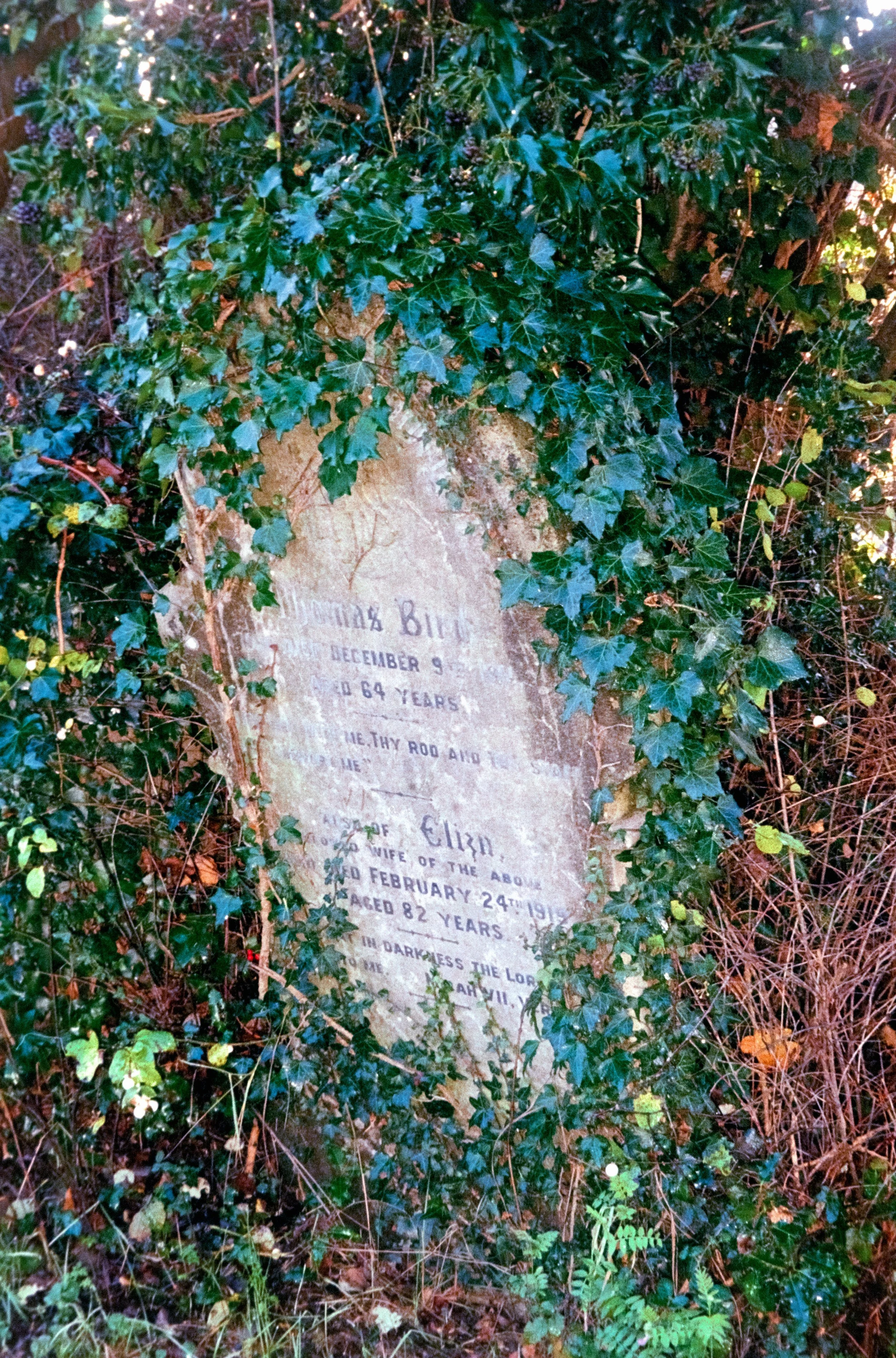 DSCF7590.jpg