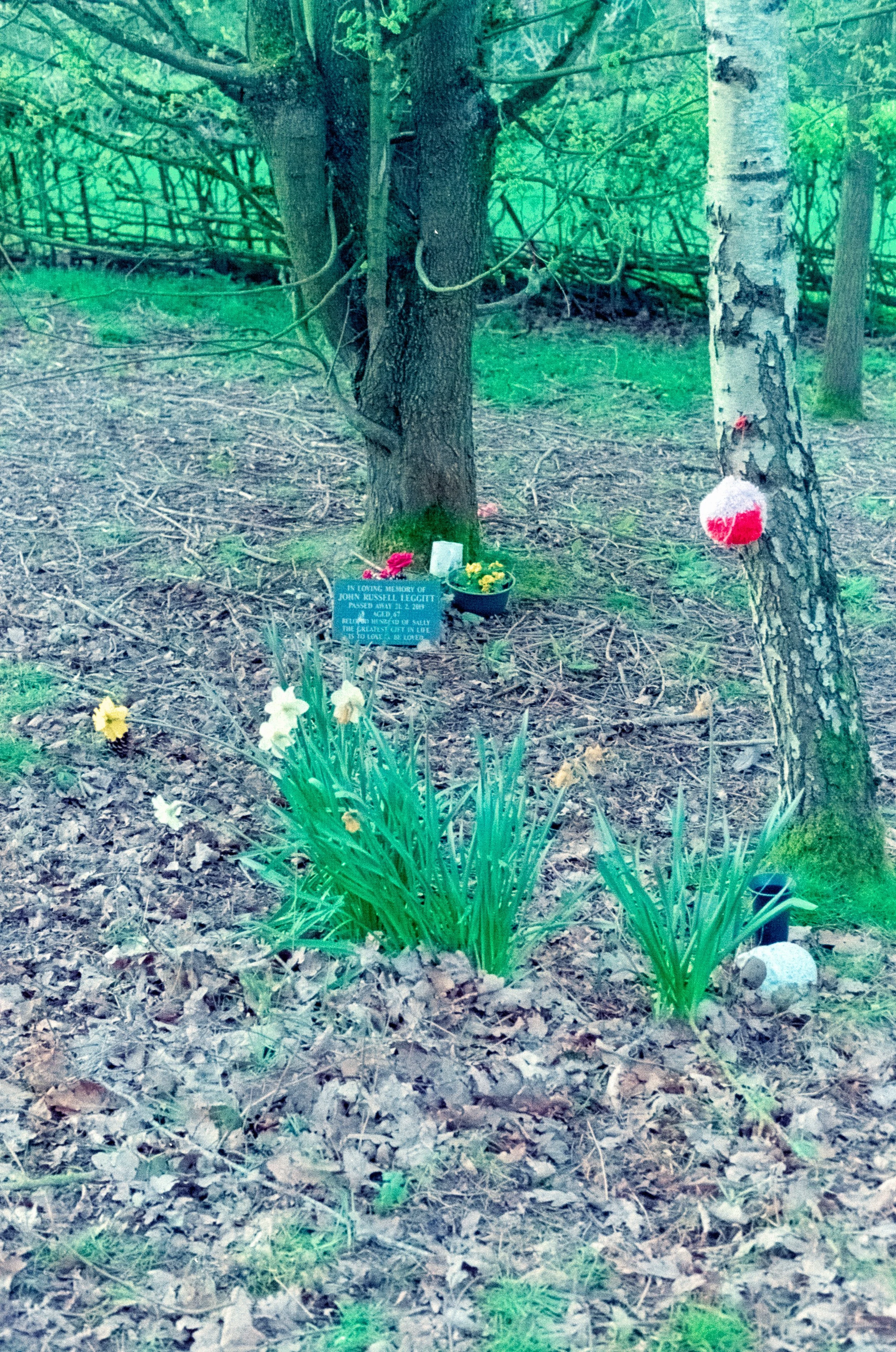 DSCF8277.jpg