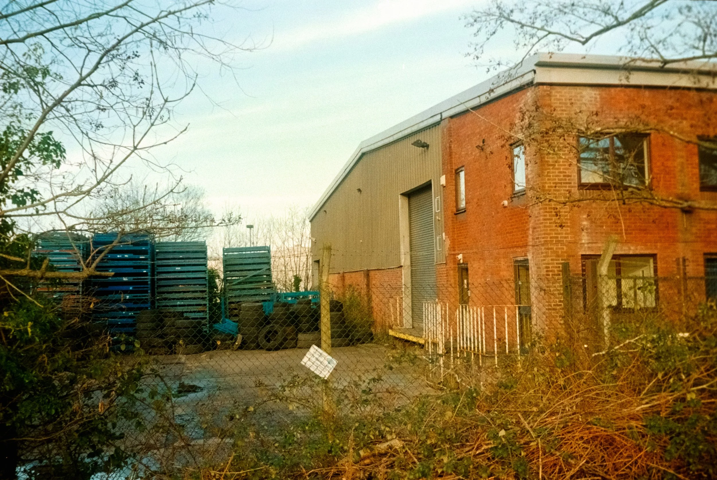 DSCF7599.jpg