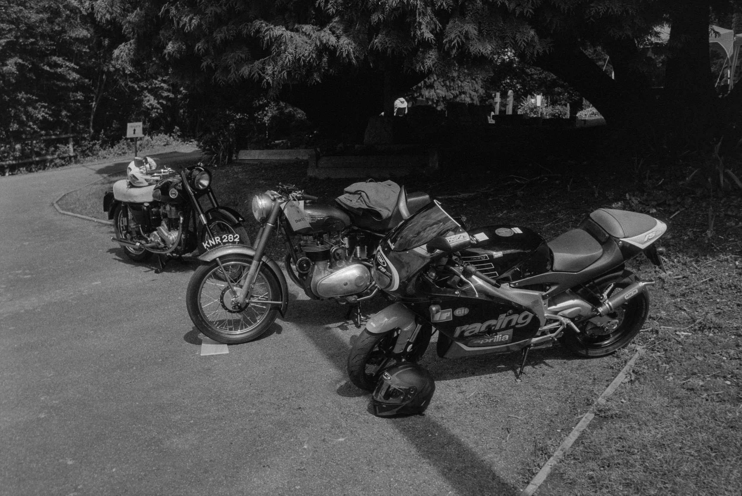 Two motorcycles parked next to each other on a roadside, with a large tree overhead and a sign in the background.