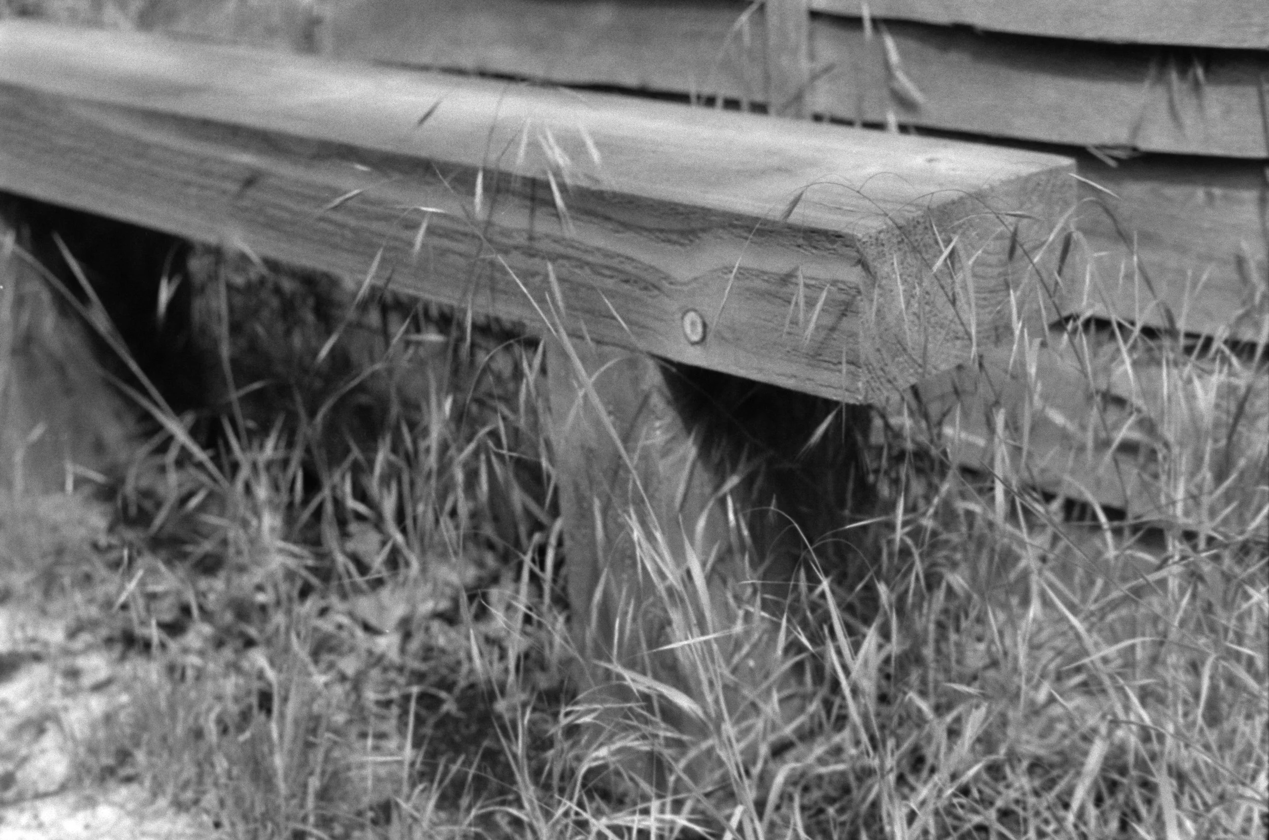 Close-up view of stacked wooden planks with a few nails, placed outdoors on the grass and surrounded by dry grass and weeds.