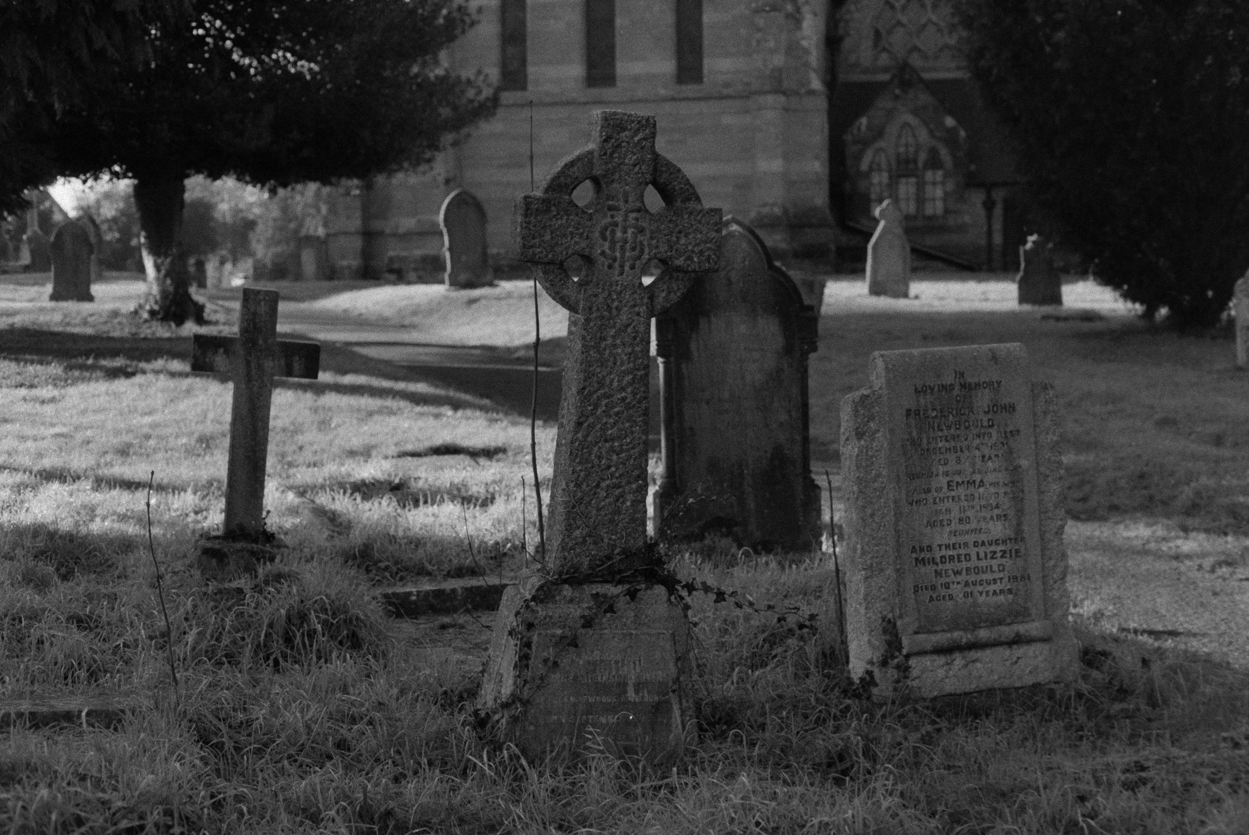 DSCF7270.jpg