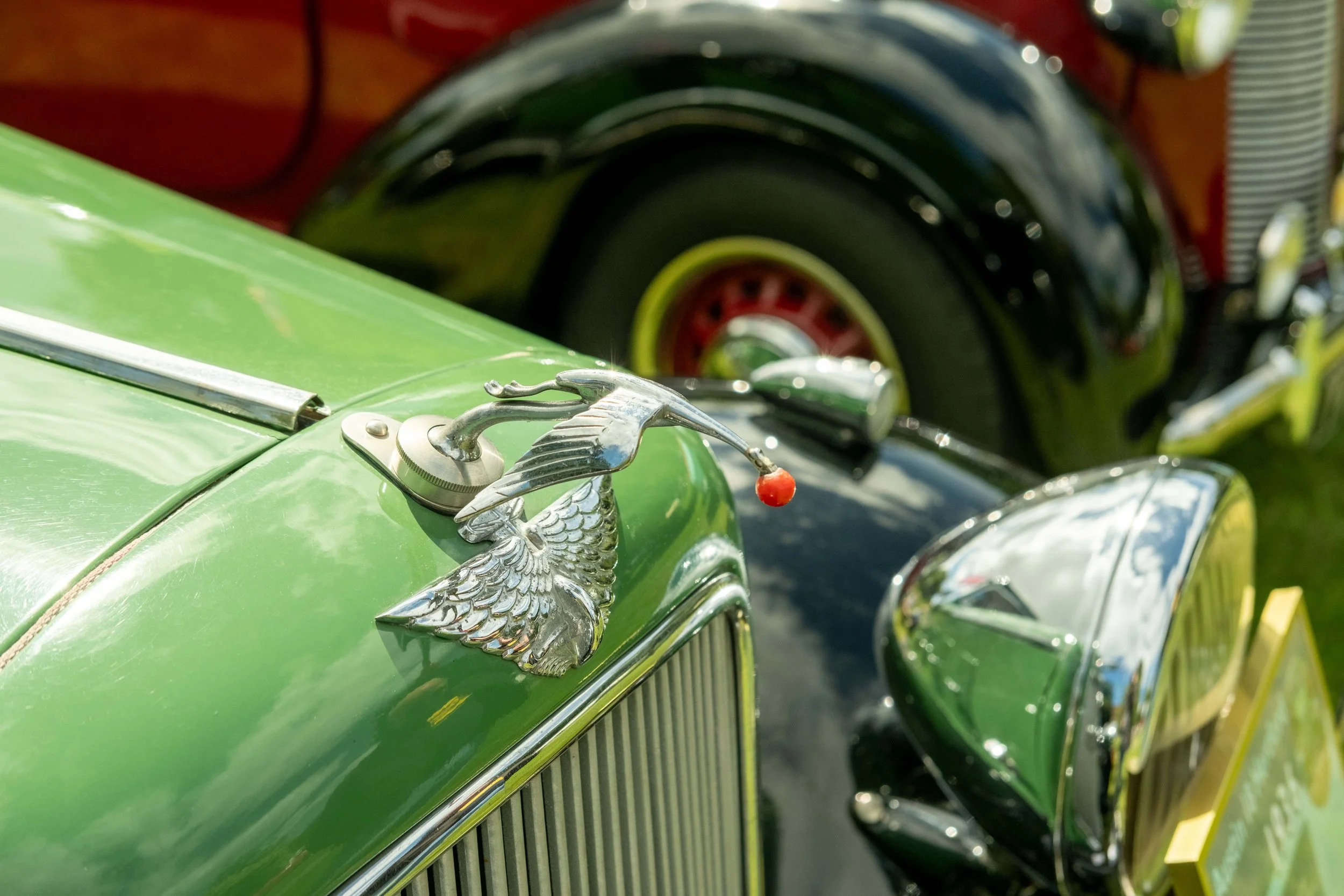 Close-up of a vintage green car's front hood ornament shaped like a bird and a chrome grille, with part of a red vehicle visible in the background.