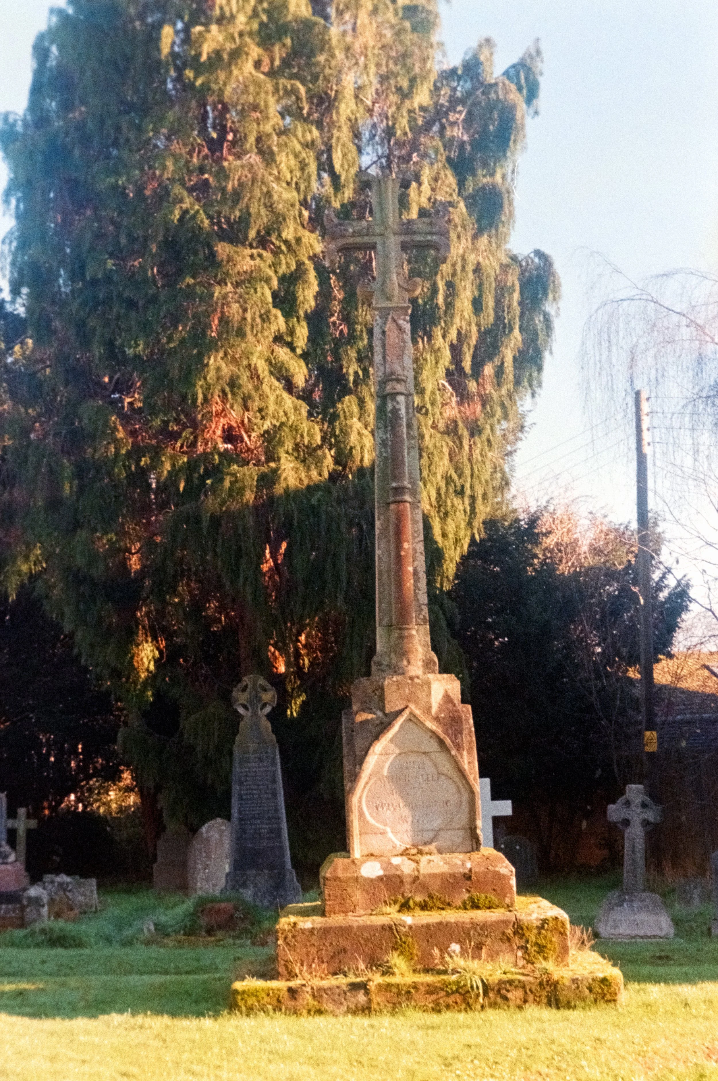 DSCF7575.jpg